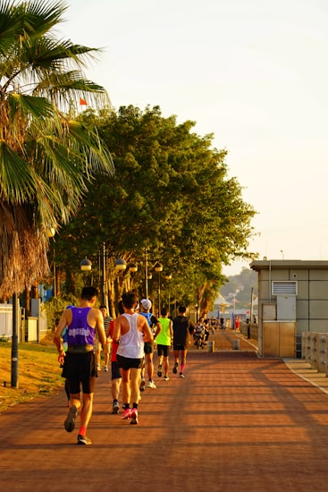 A group of people jogging on a pathway lined with trees and palm trees. The scene is set in a park or waterfront area with street lamps and a clear sky. The runners wear athletic clothing and are heading towards the horizon.
