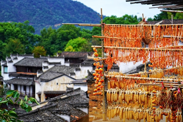 A series of wooden racks holding various dried produce, including corn and other vegetables, are prominently displayed. The background consists of traditional Chinese-style buildings with grey tiled roofs, surrounded by lush green trees. Mountains are visible further in the distance.