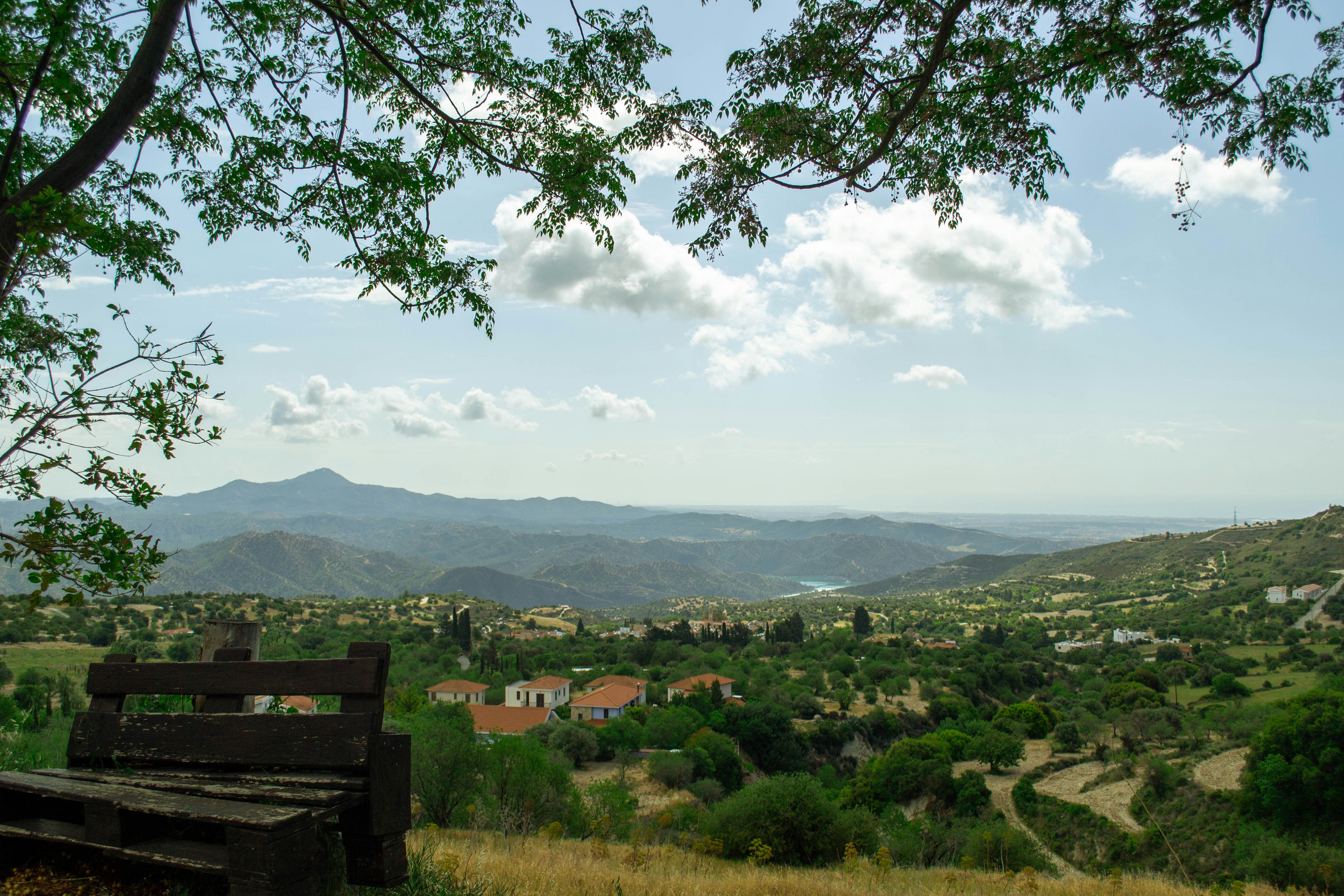 Photo by reggie_tmin