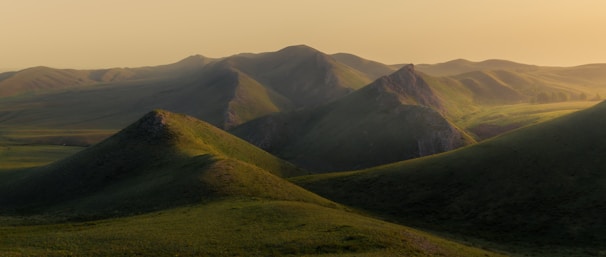 Golden hour view of rolling hills and olive groves bathed in soft evening light.