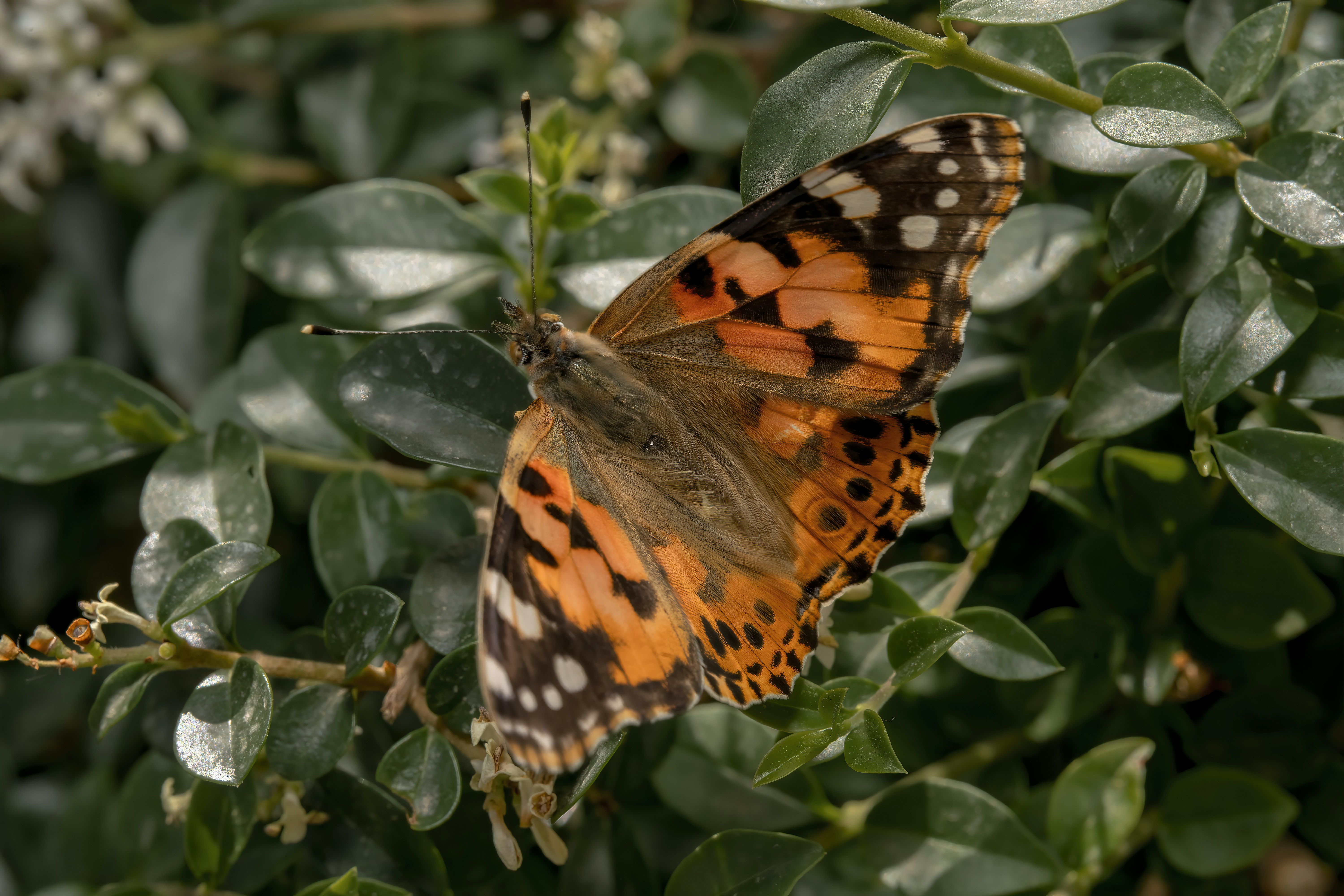 Photo by akbarnemati