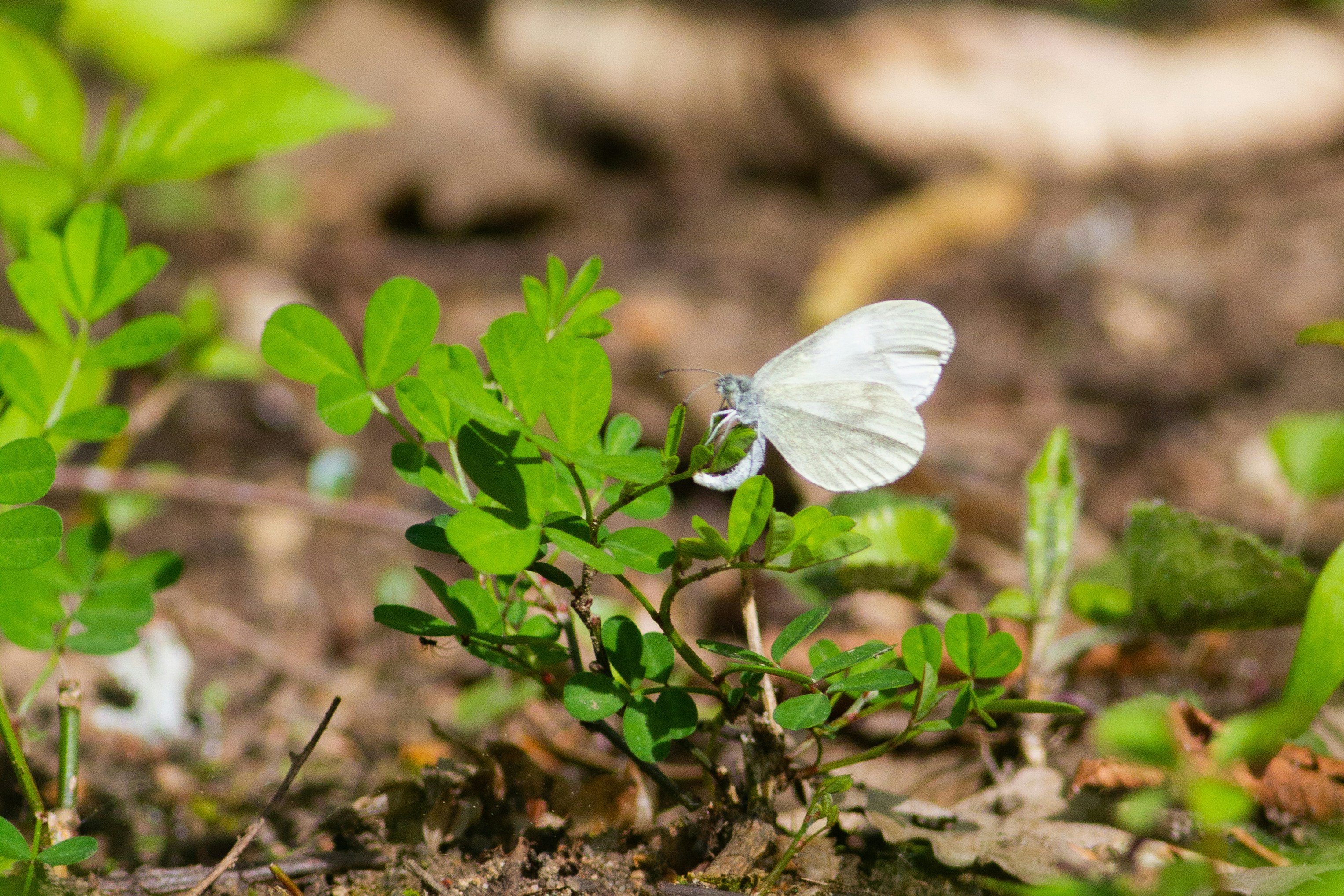 Photo by mattia_poli_04