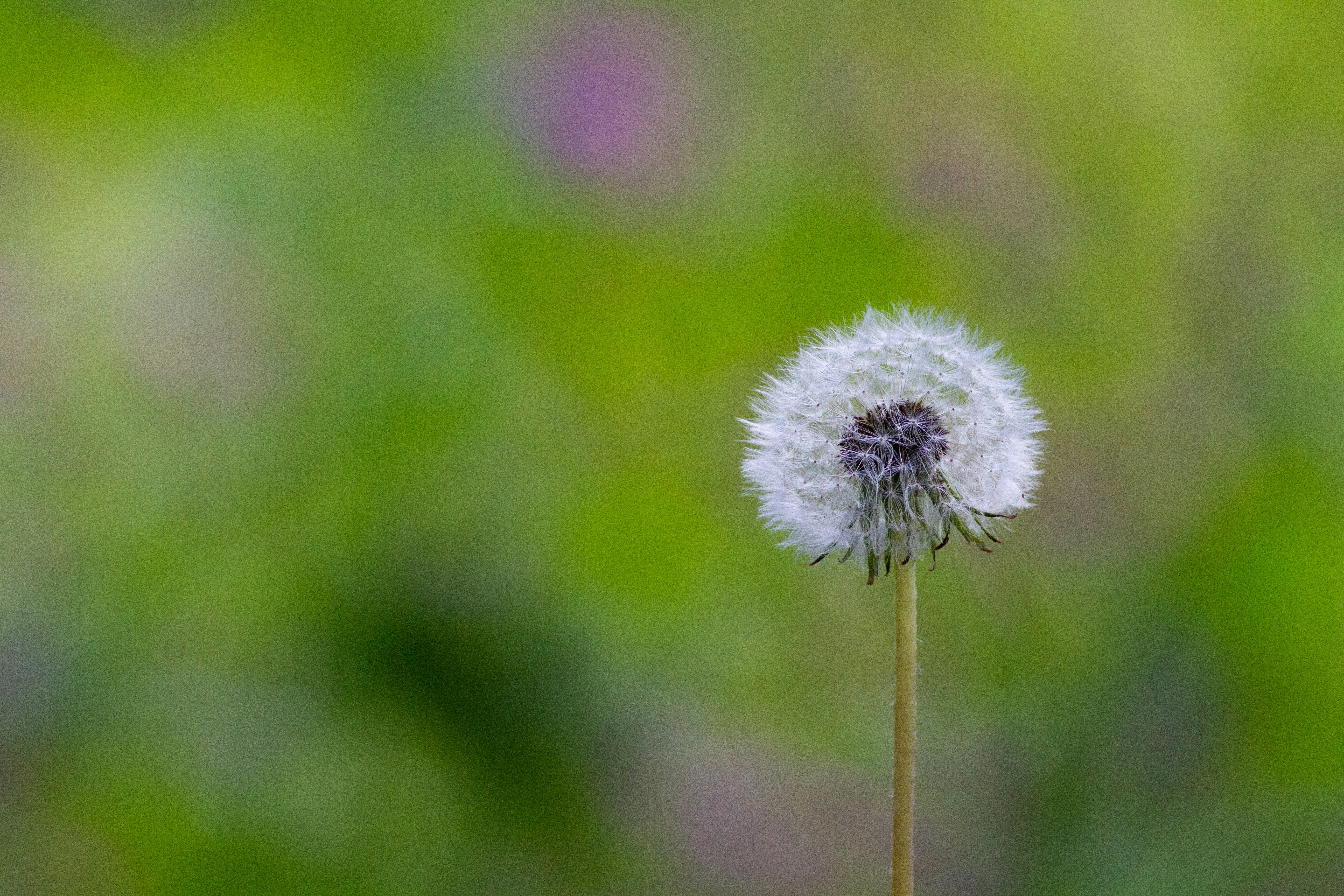 Photo by mattia_poli_04