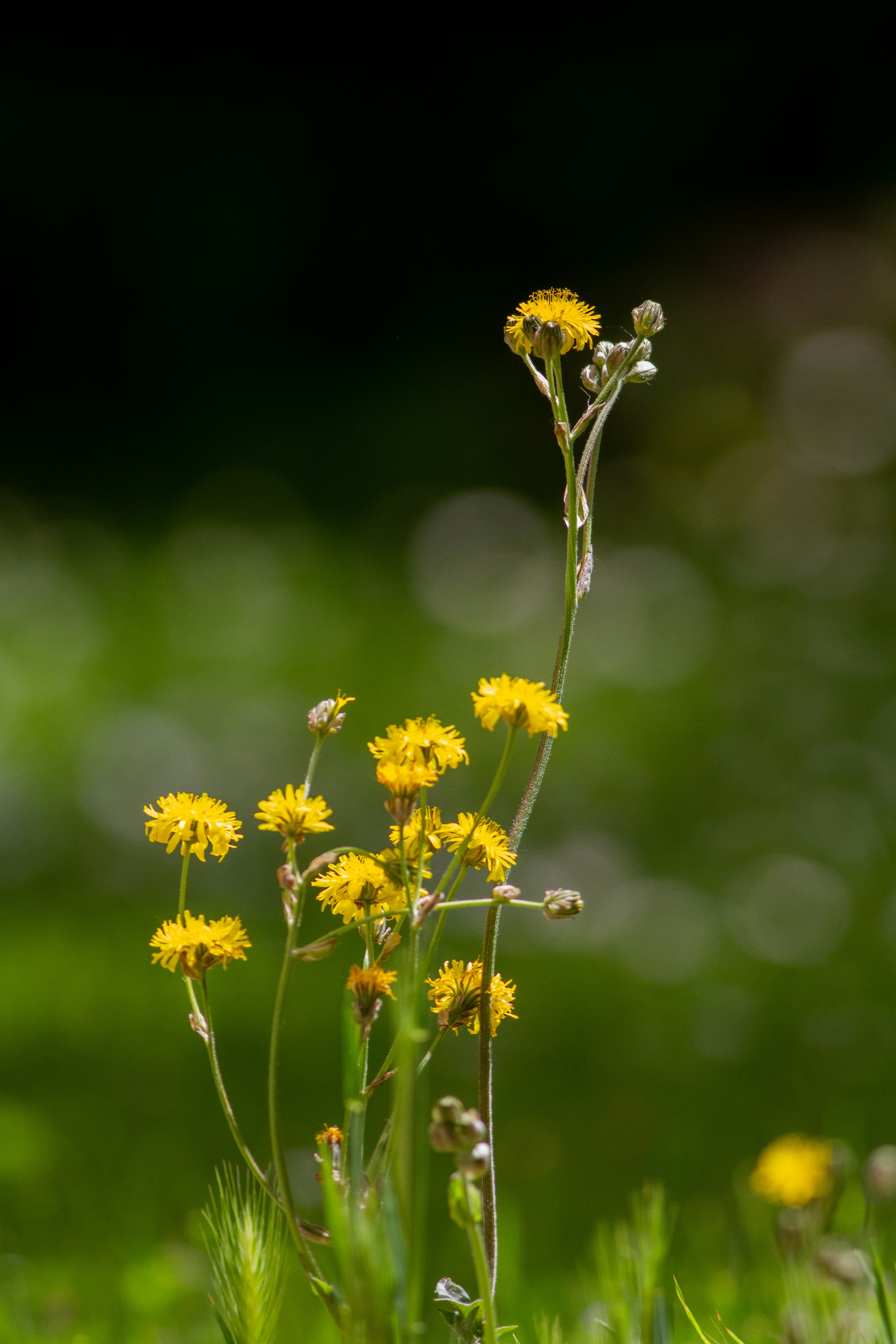 Photo by mattia_poli_04