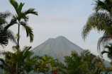 a view of a mountain through the trees