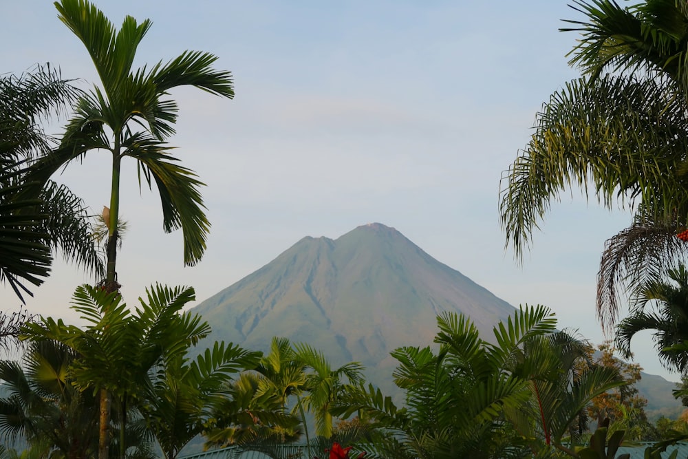 a view of a mountain through the trees