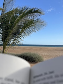 A serene beach scene with a palm tree on the left side and an ocean in the background. The image includes a portion of an open book in the lower part of the frame, suggesting someone is reading by the beach.
