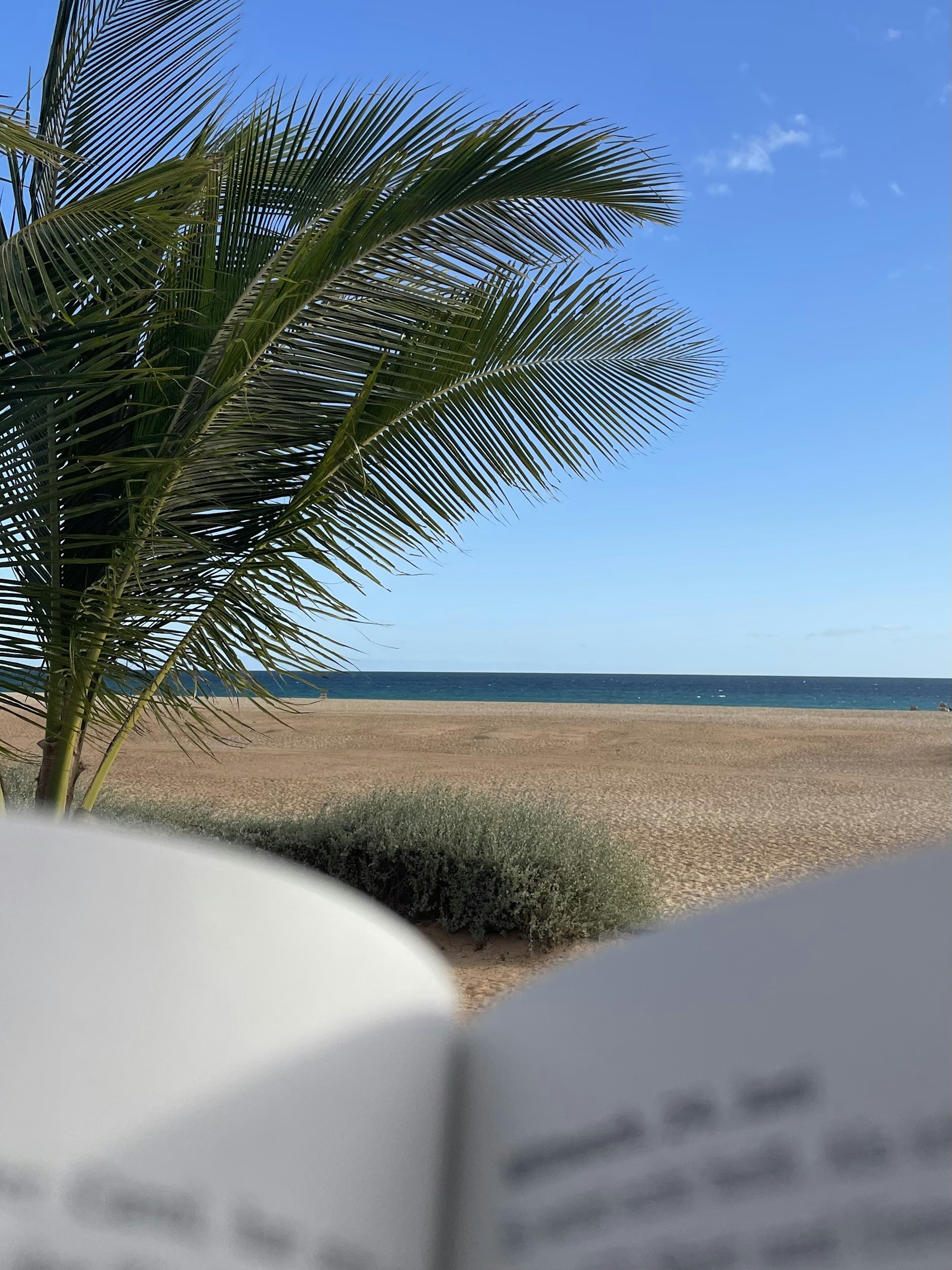 woman wearing yellow long-sleeved dress under white clouds and blue sky during daytime