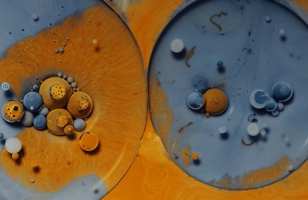 a close up of two plates with buttons on them