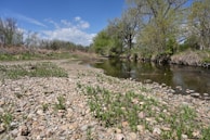 A peaceful river winding through the vibrant landscape of Teesdale on a sunny day.