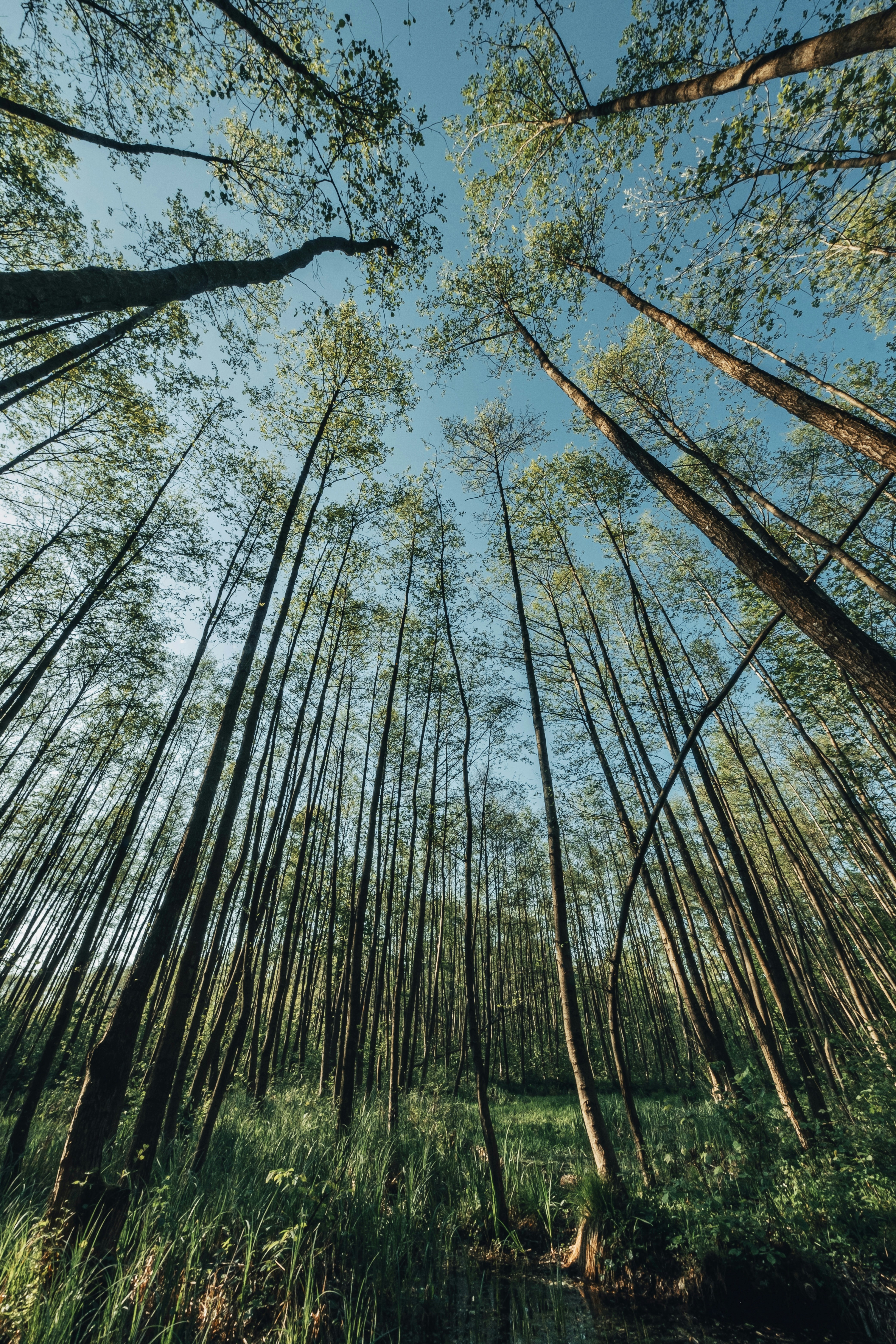 Photo by egorkomarov