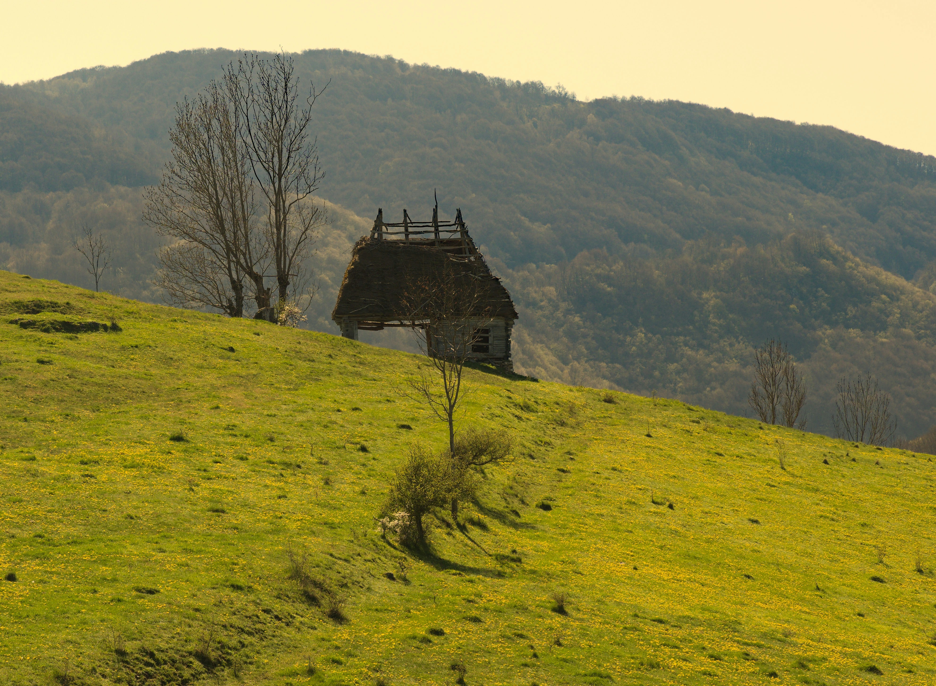 a grassy hill with a house on top of it