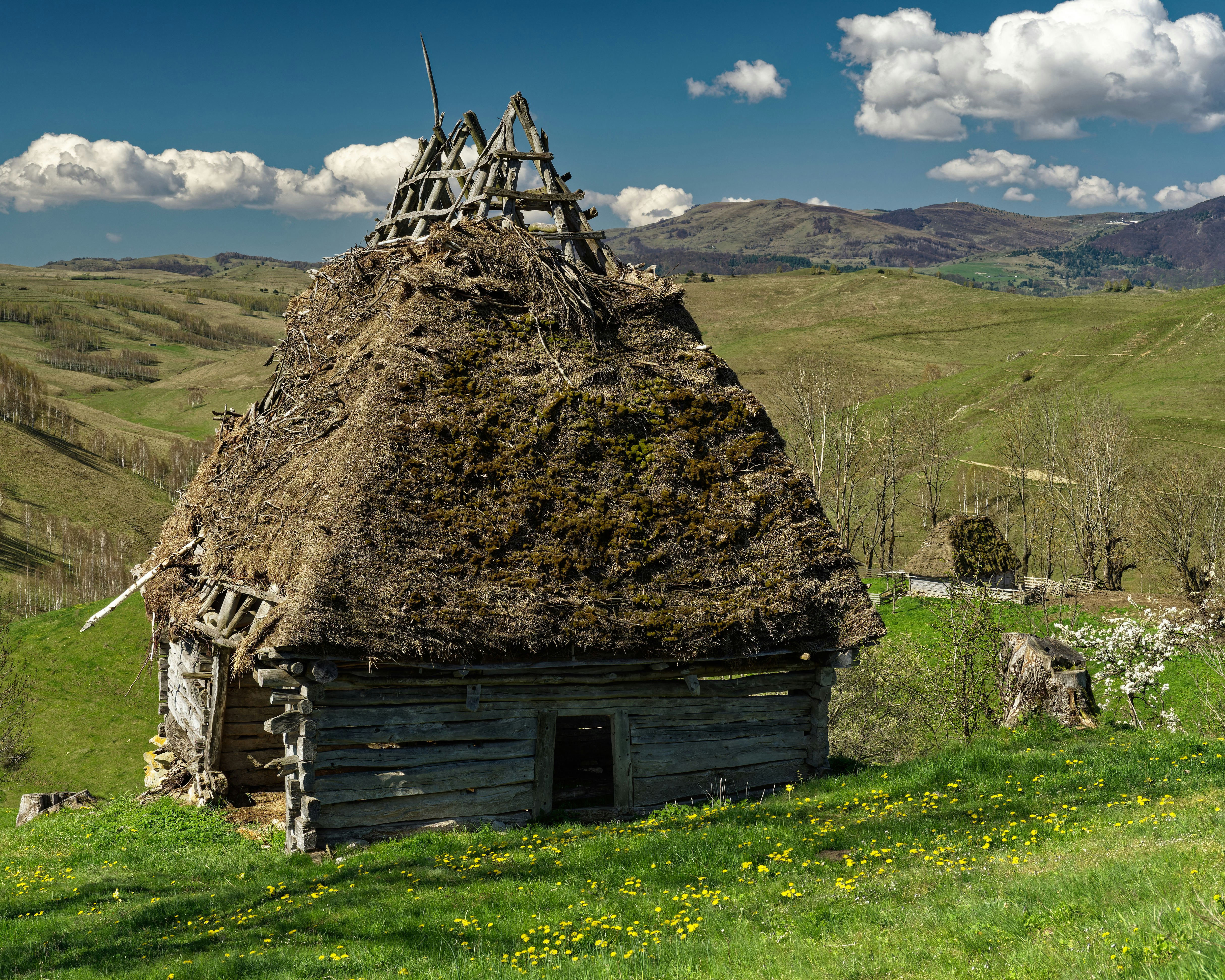 an old house with a thatched roof in a field