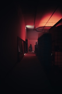 A dimly lit corridor with a warm red glow illuminating the space. A silhouette of a person stands at the end of the hallway, creating a mysterious and suspenseful atmosphere. The walls are lined with various objects and shapes, adding to the intrigue.