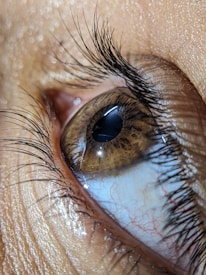 Close-up of detailed eye anatomy illustration used for educational purposes.
