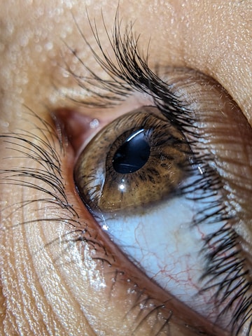 Close-up of detailed eye anatomy illustration used for educational purposes.
