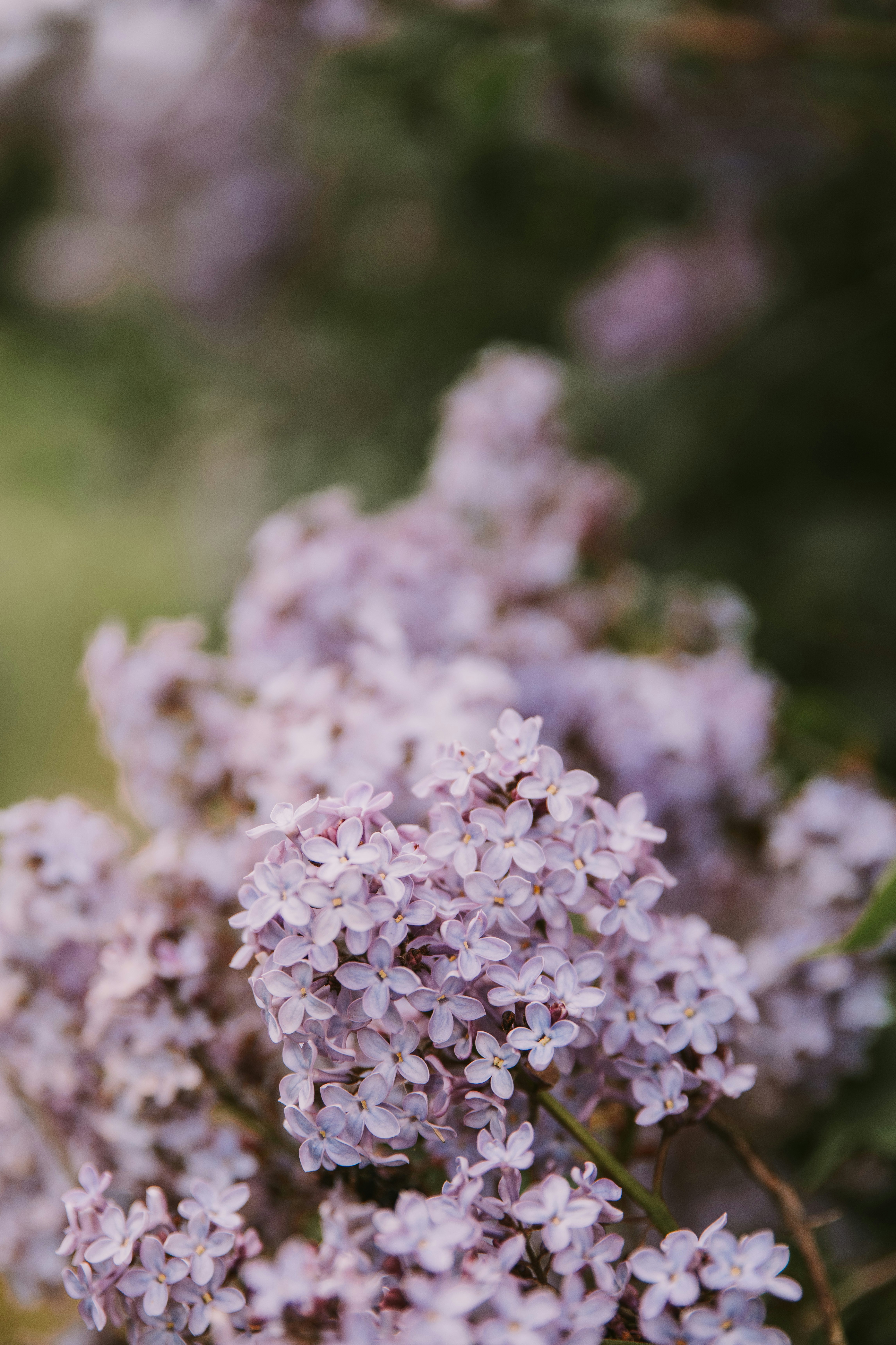 Photo by anitaaustvika