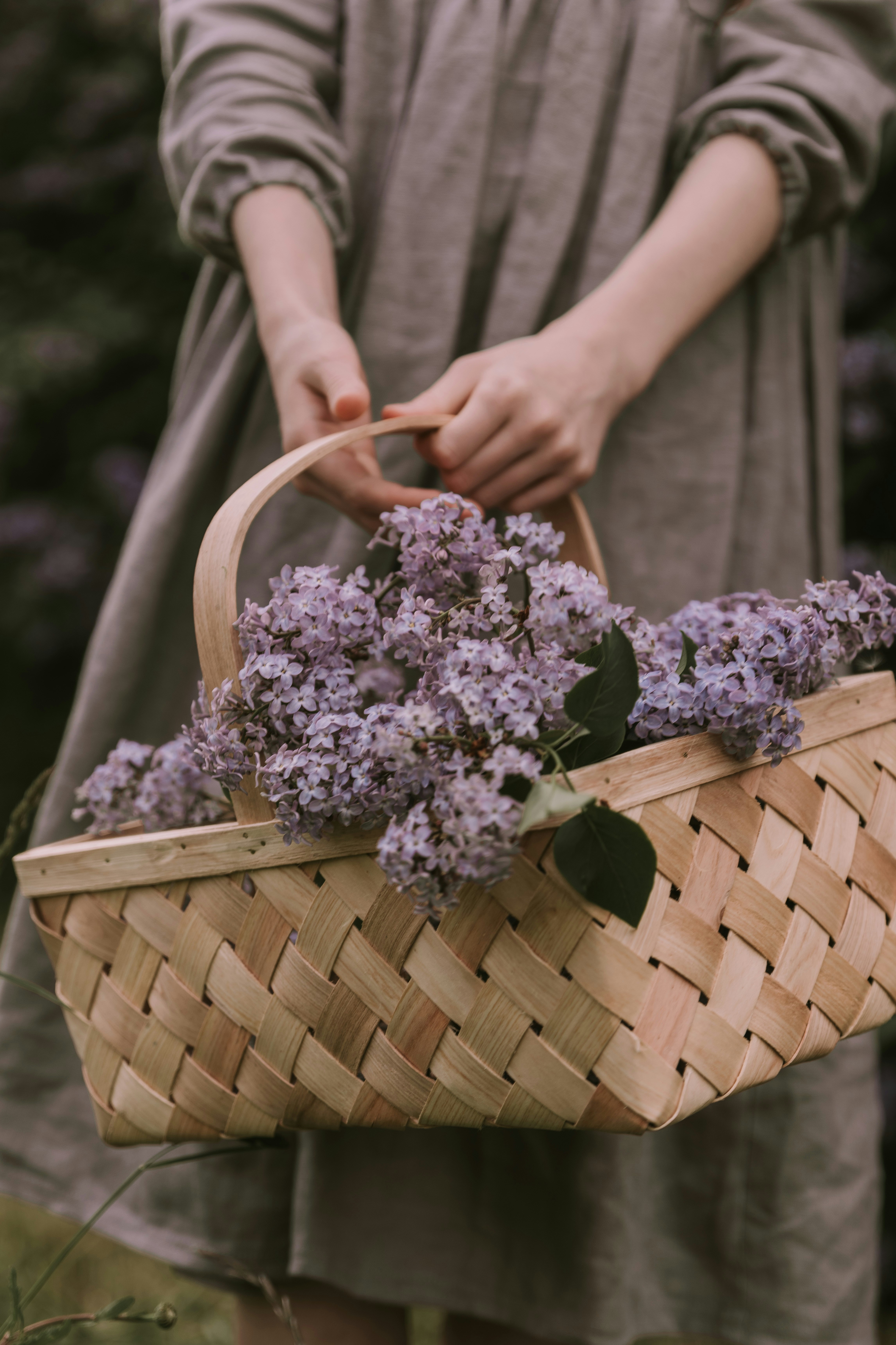 Photo by anitaaustvika