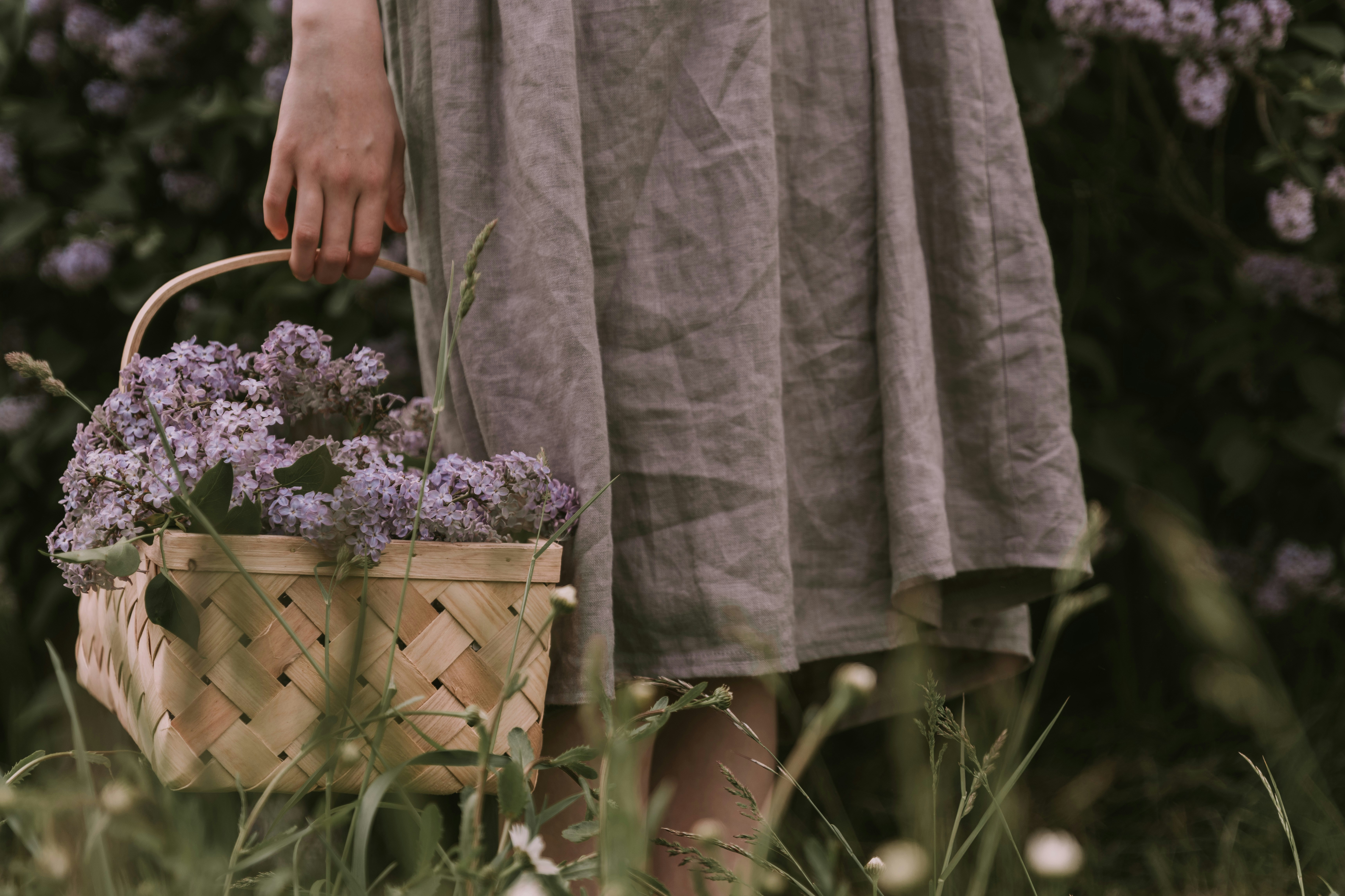 Photo by anitaaustvika