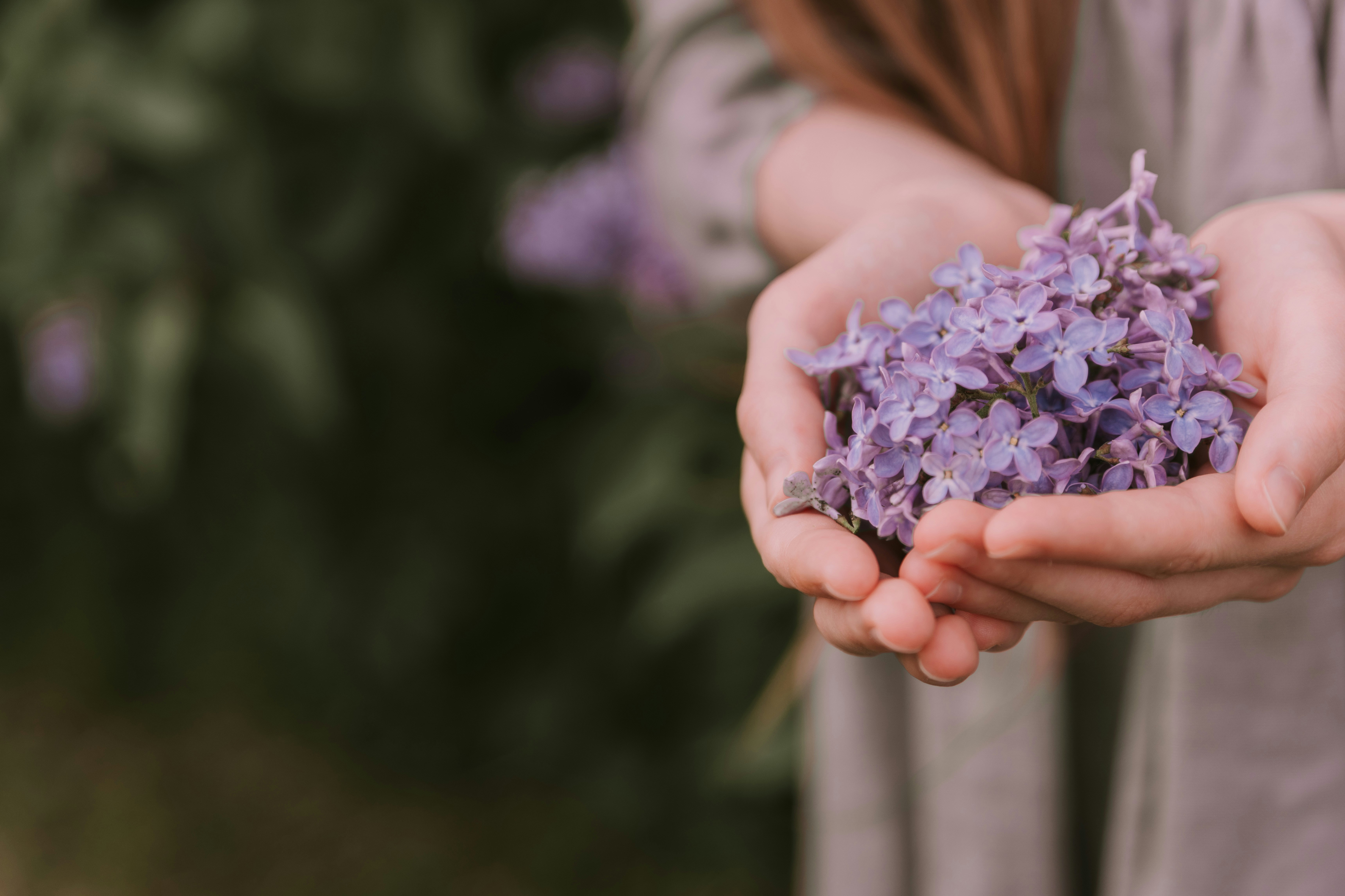 Photo by anitaaustvika