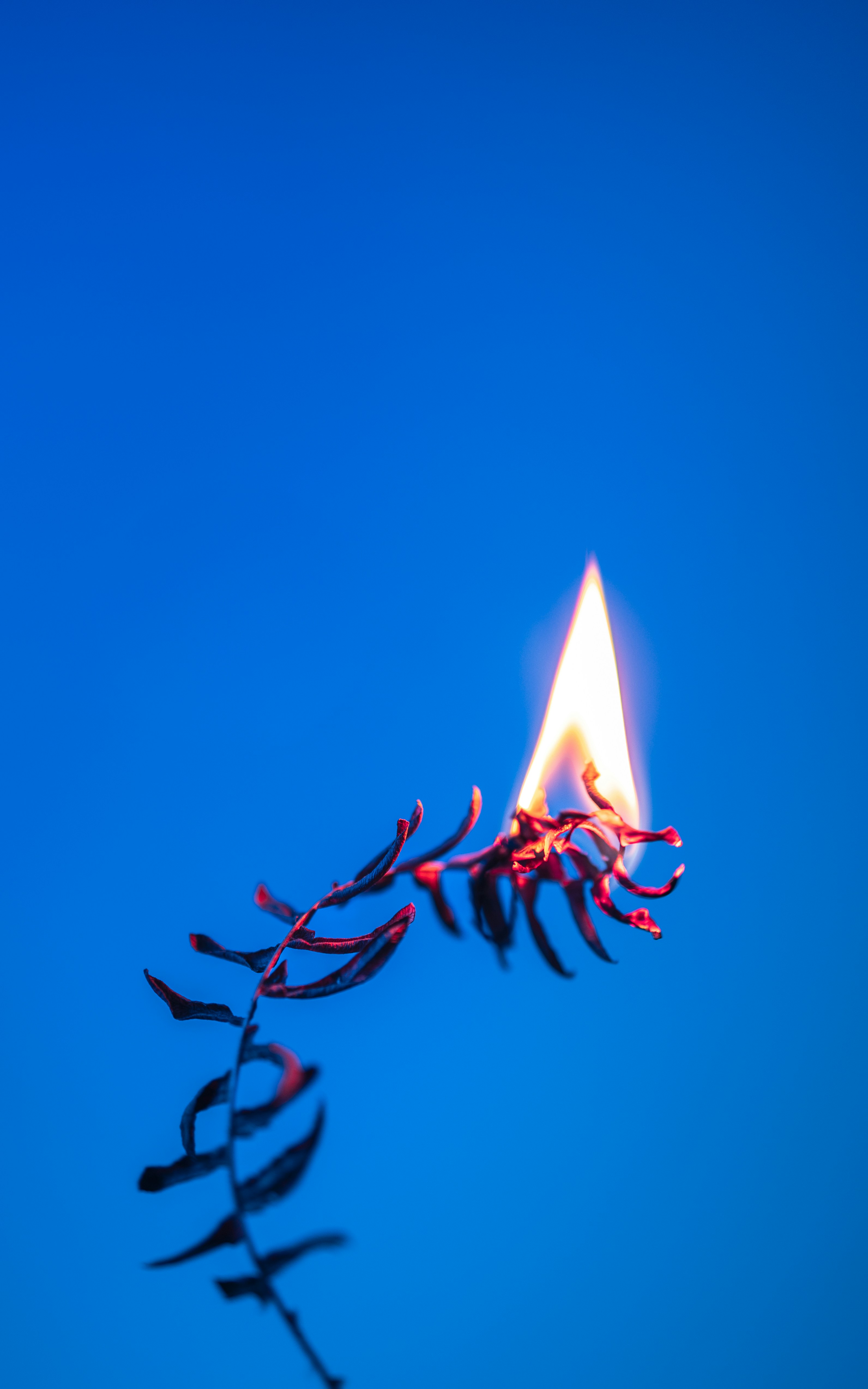 A single candle burning in the middle of a blue sky photo Free Poland
