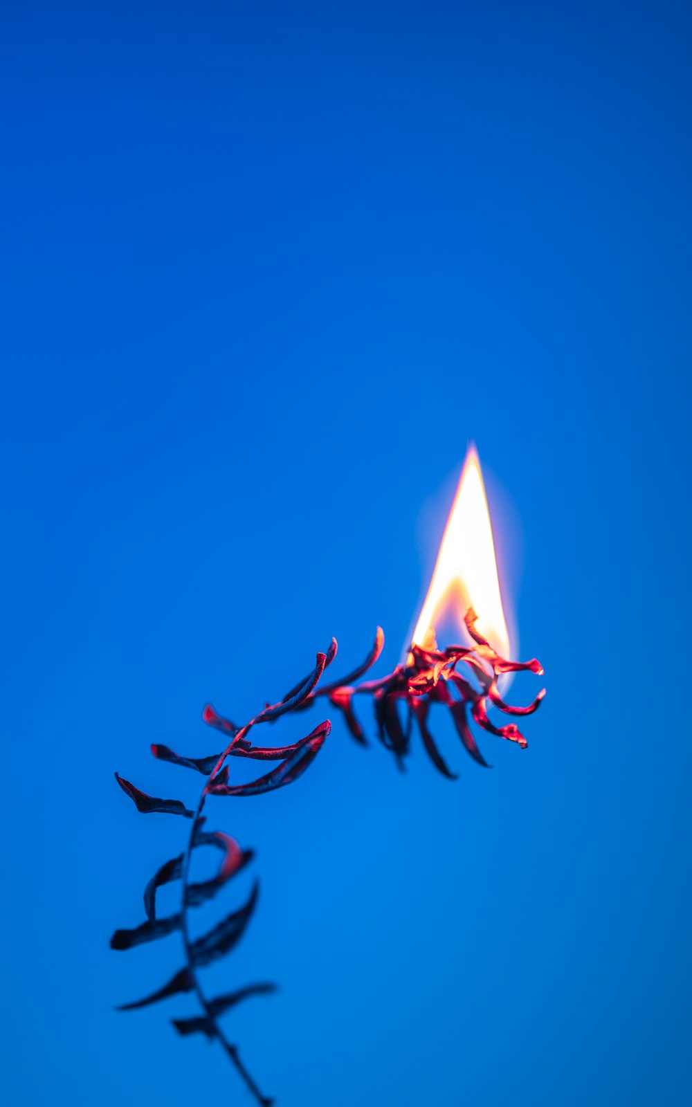 a single candle burning in the middle of a blue sky