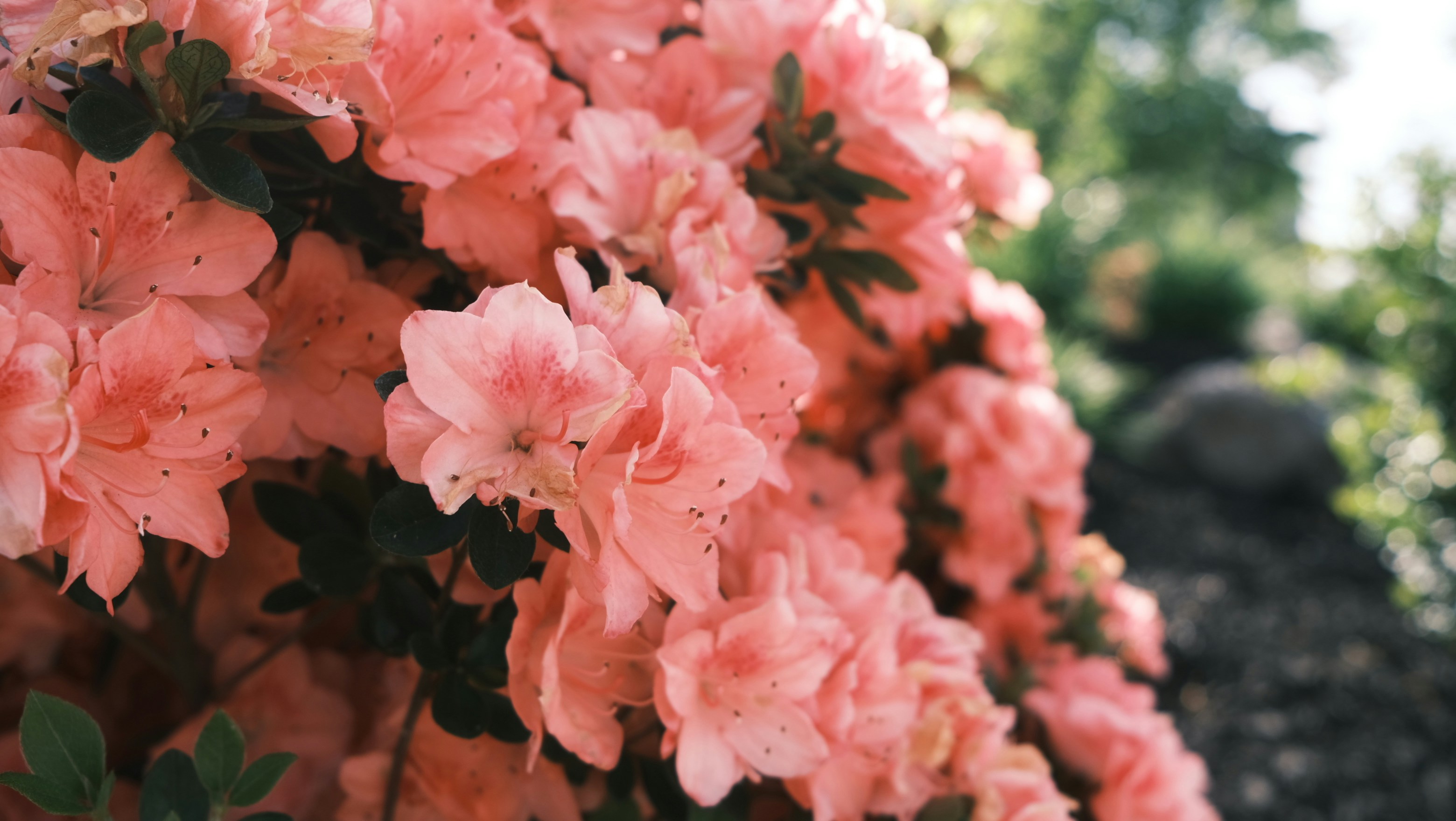 Photo by darrylbrian