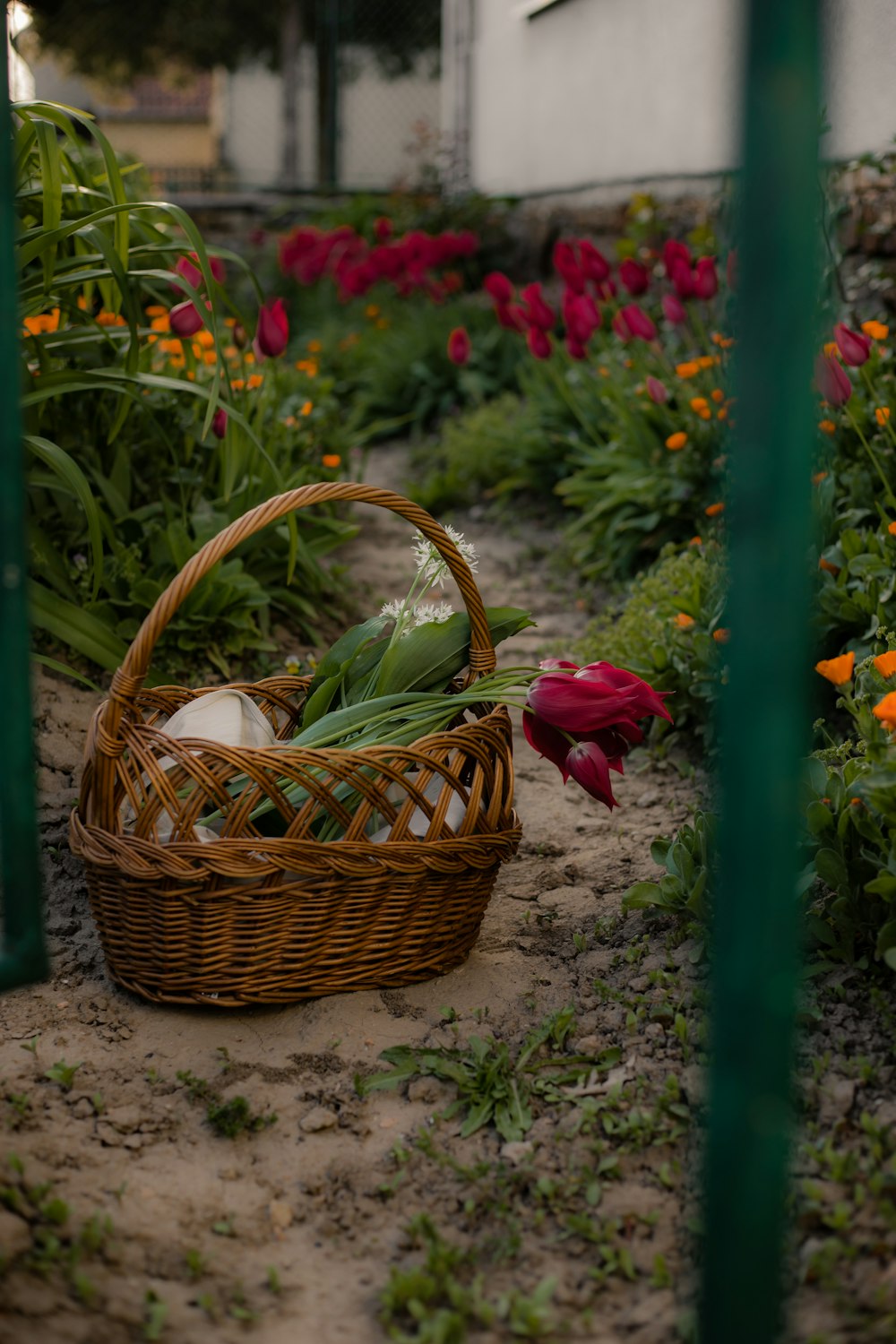 a basket with a bird sitting on top of it