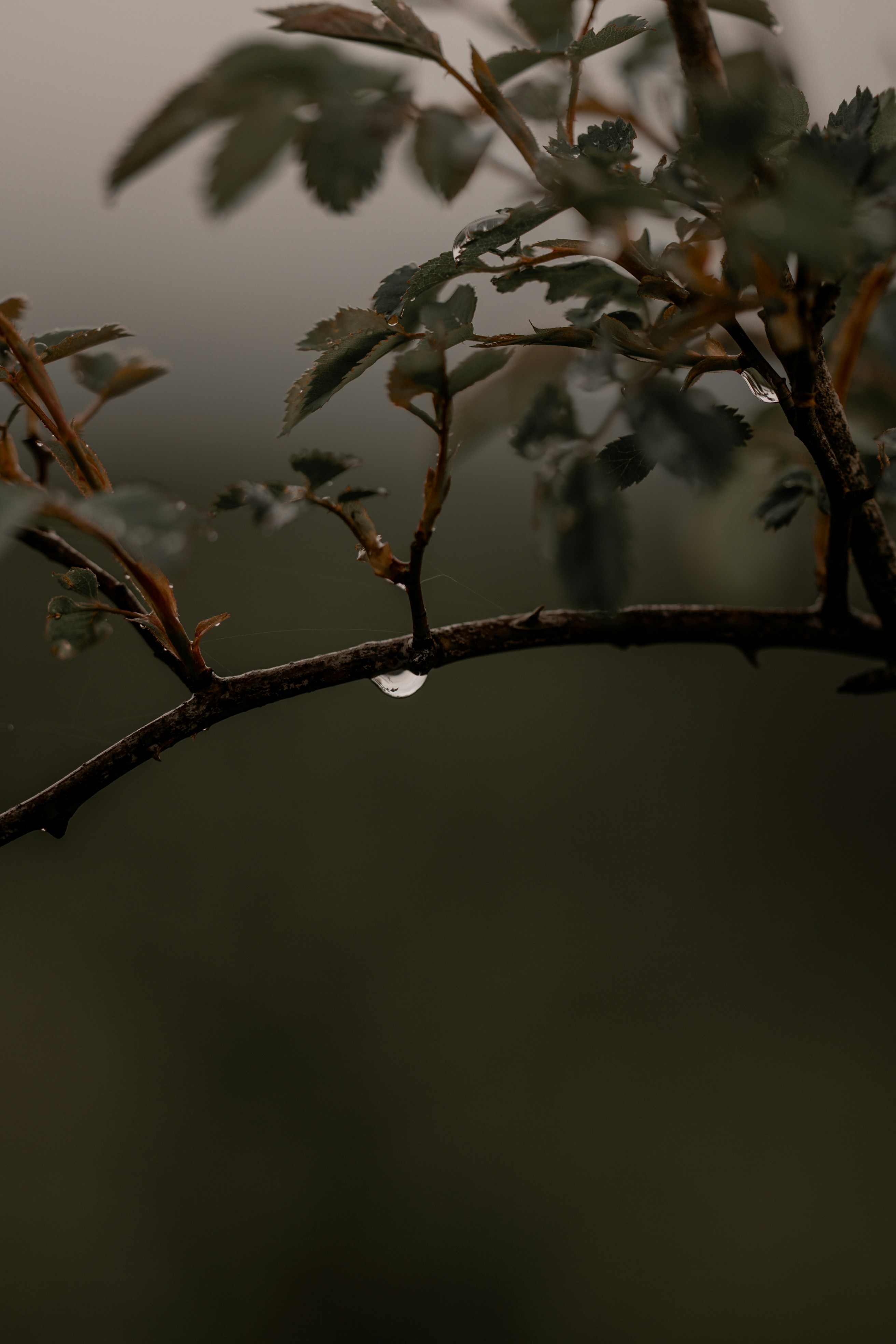 Photo by omarvellous14