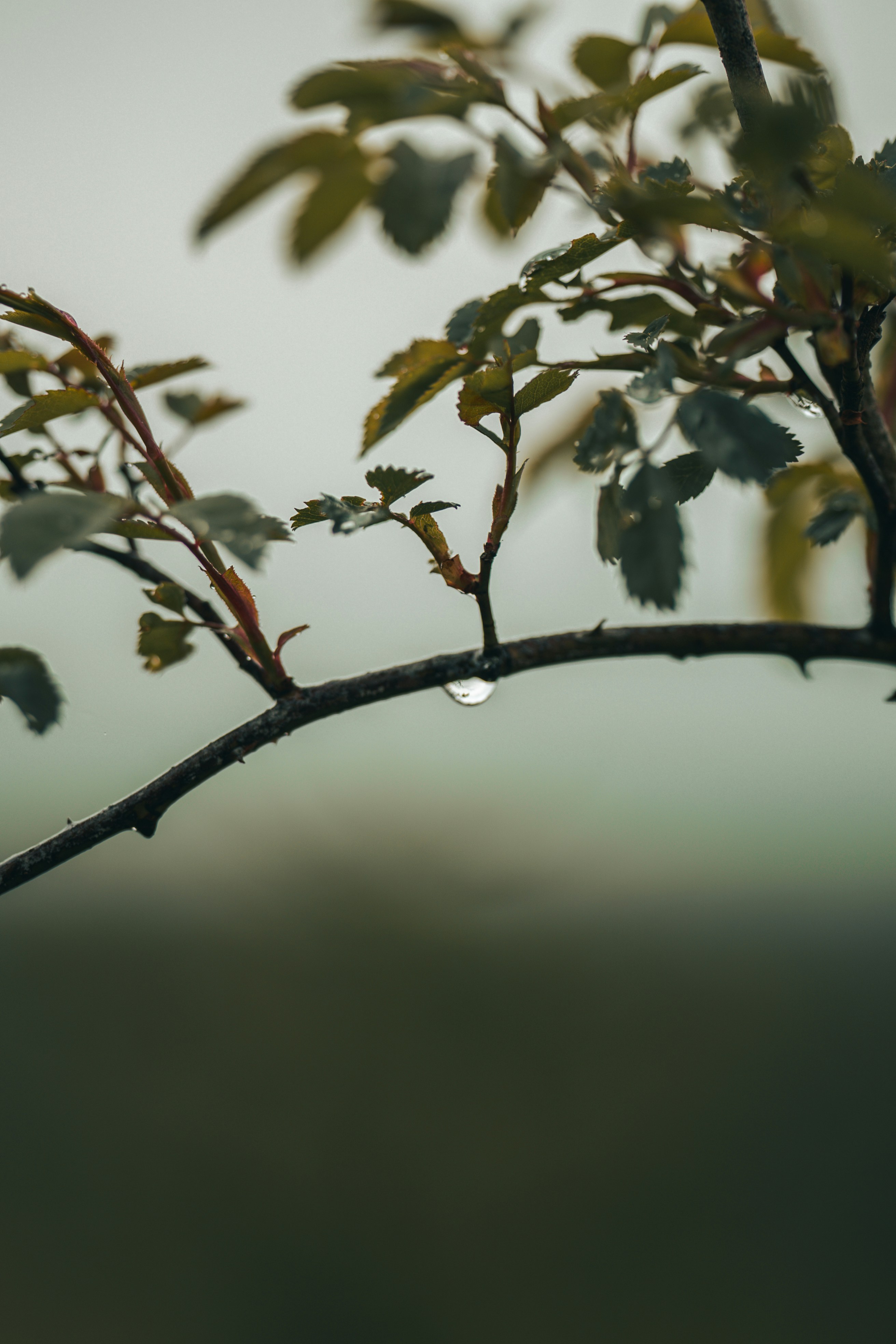 Photo by omarvellous14