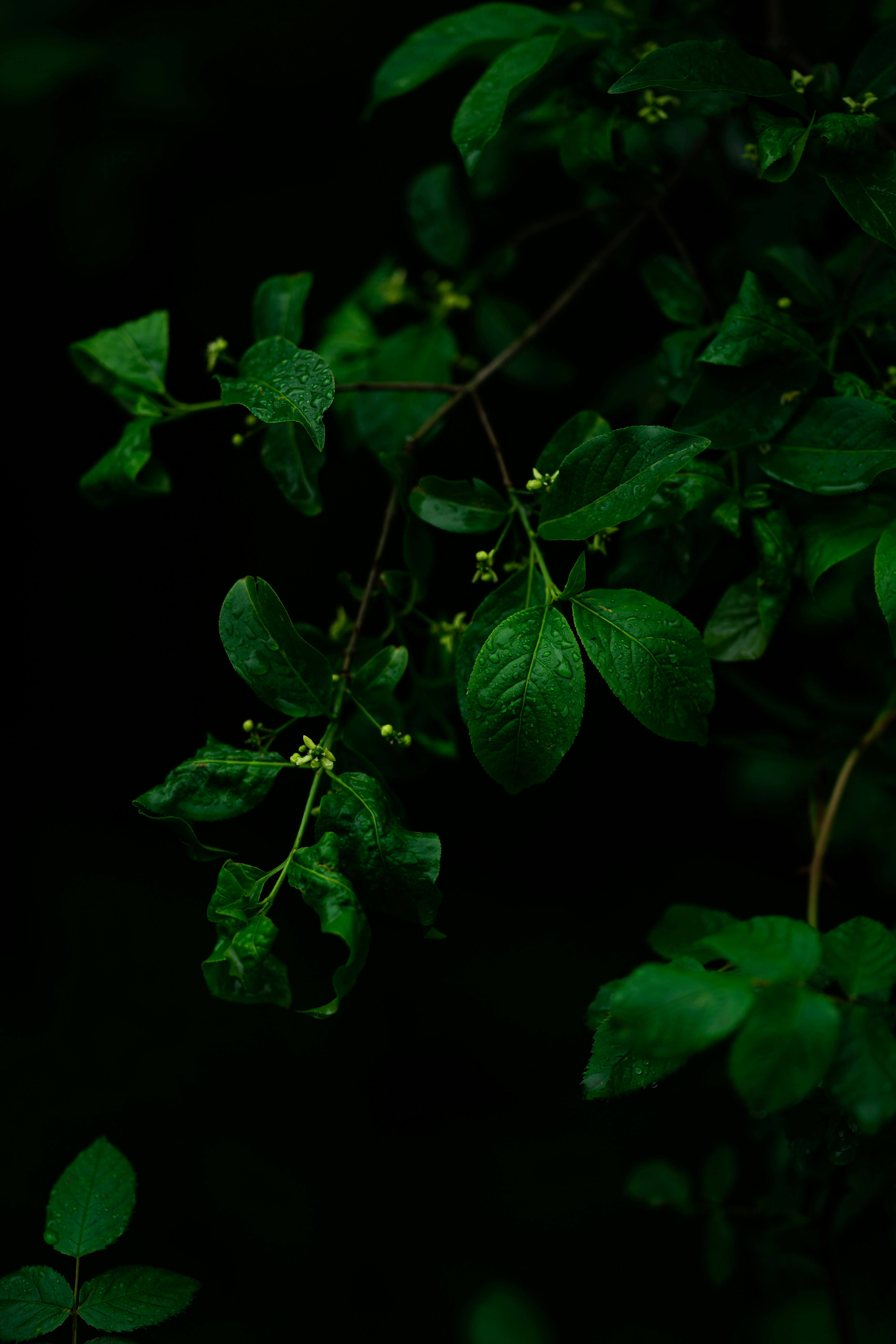 Photo by omarvellous14