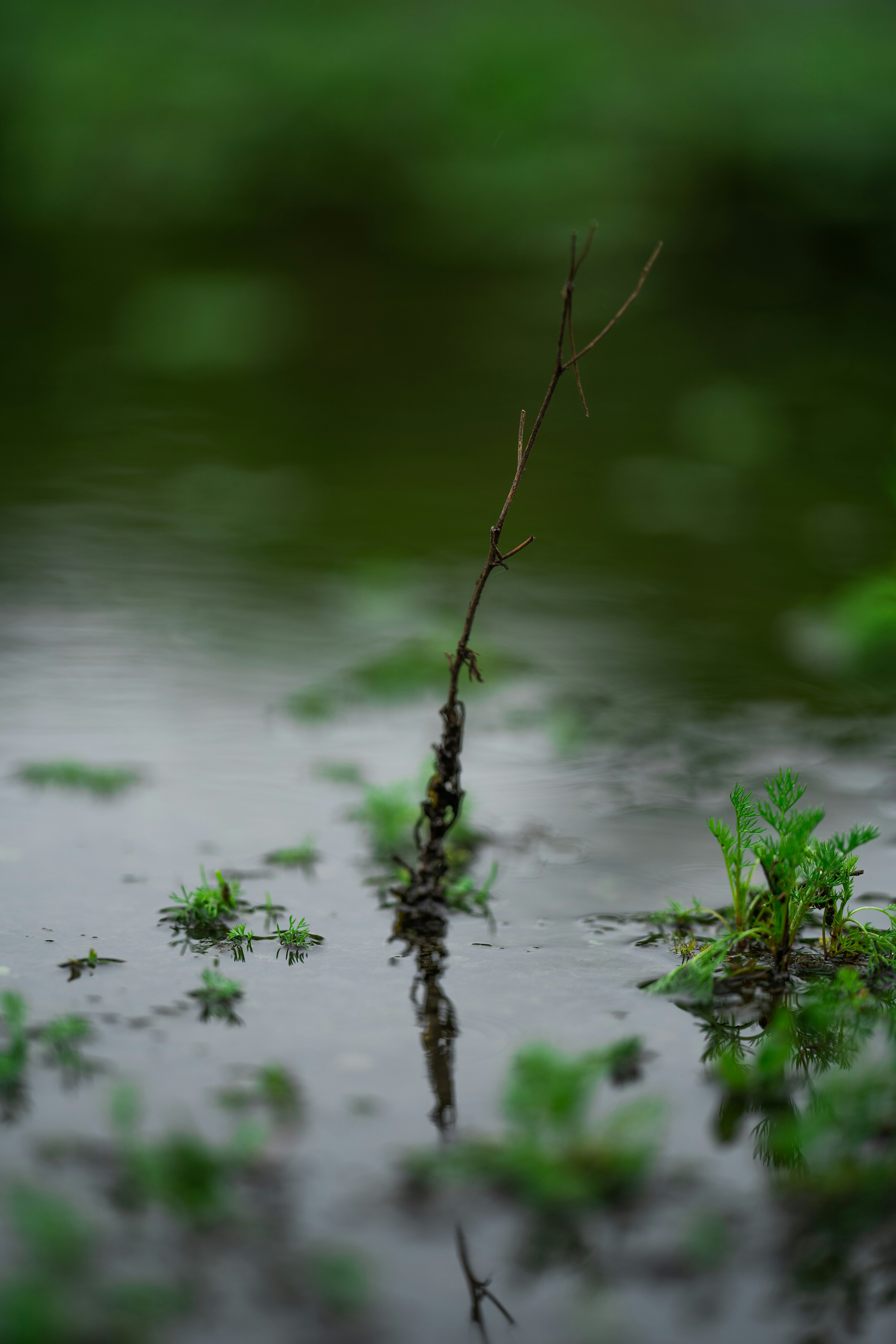 Photo by omarvellous14