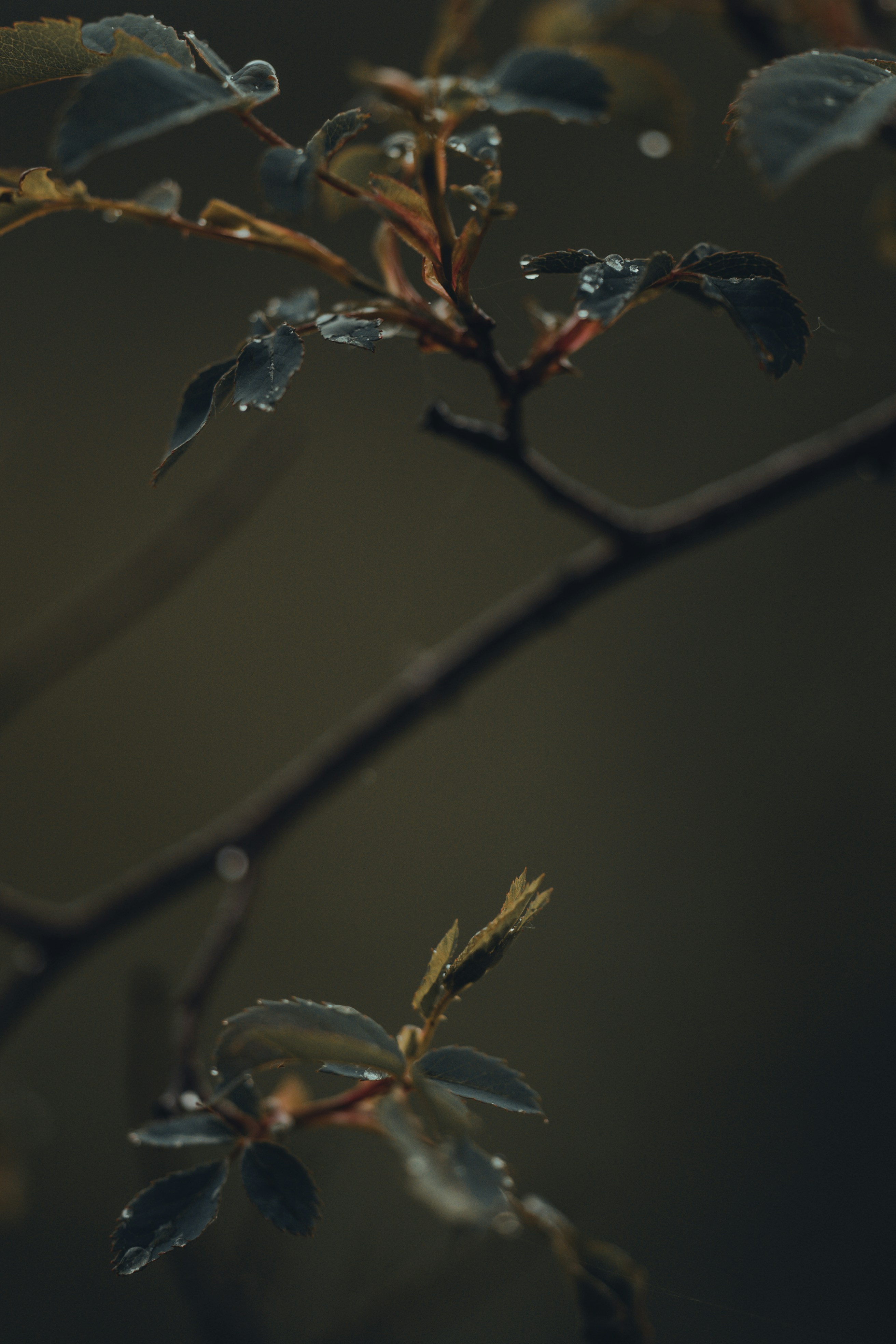 Photo by omarvellous14