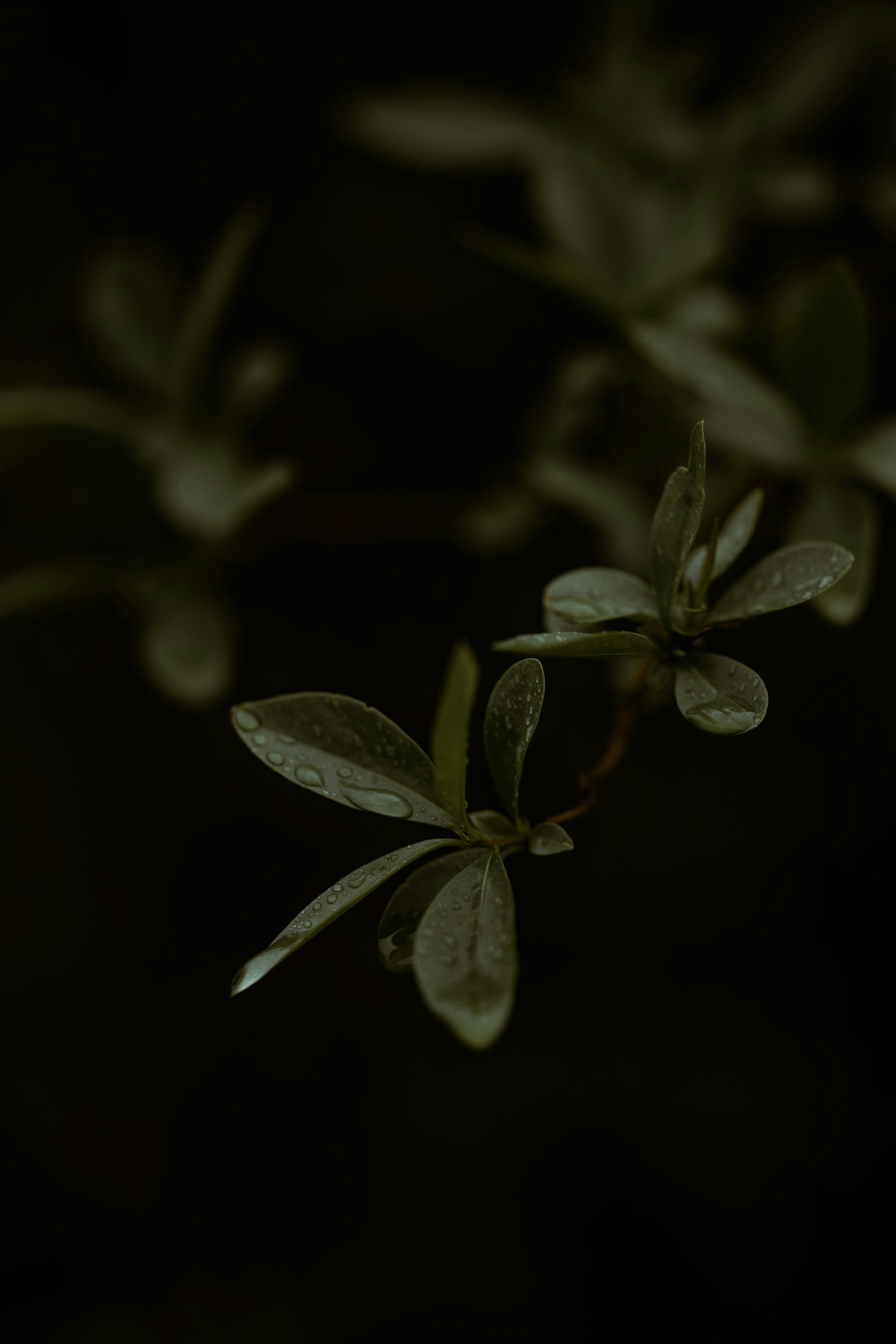 Photo by omarvellous14