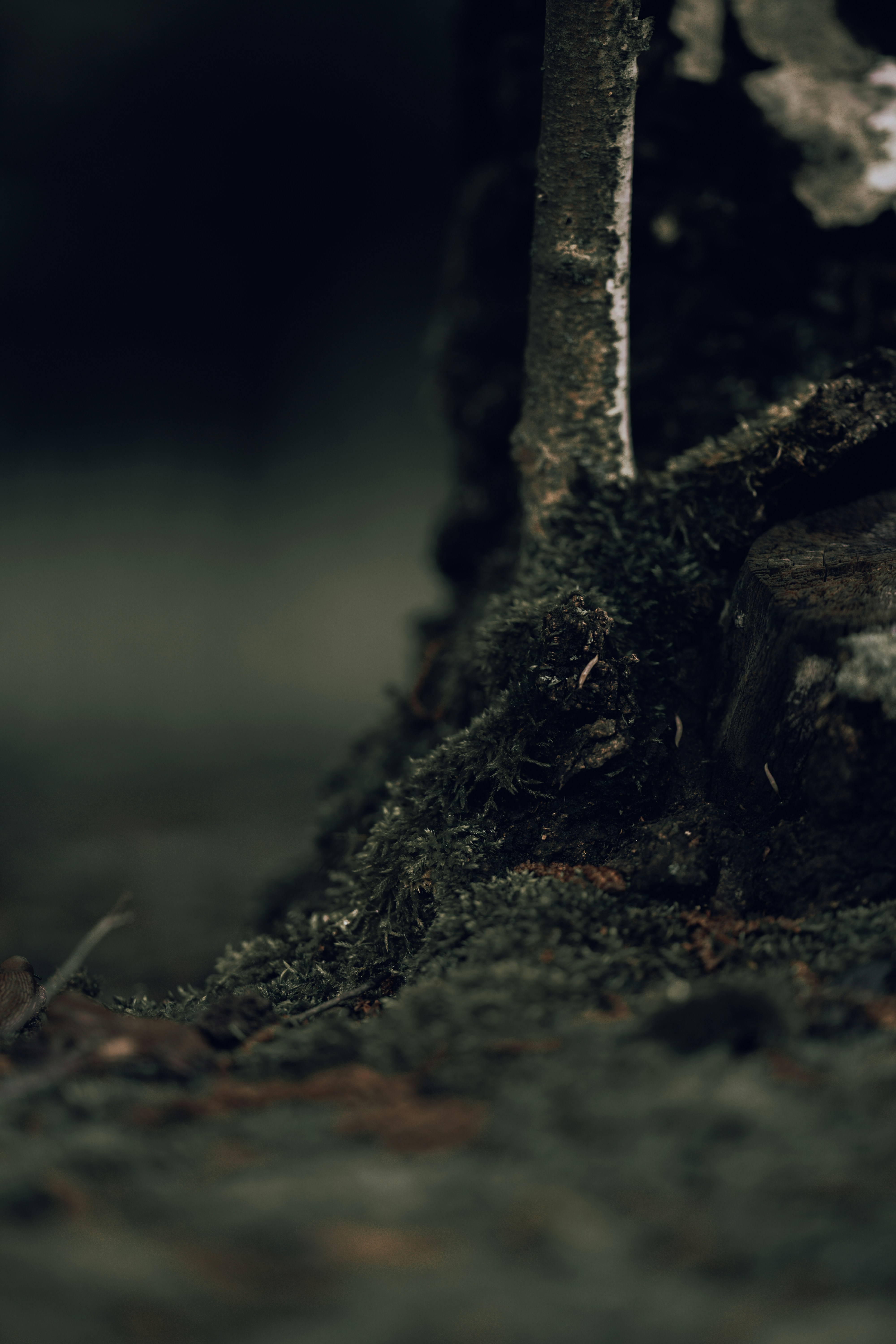 Photo by omarvellous14