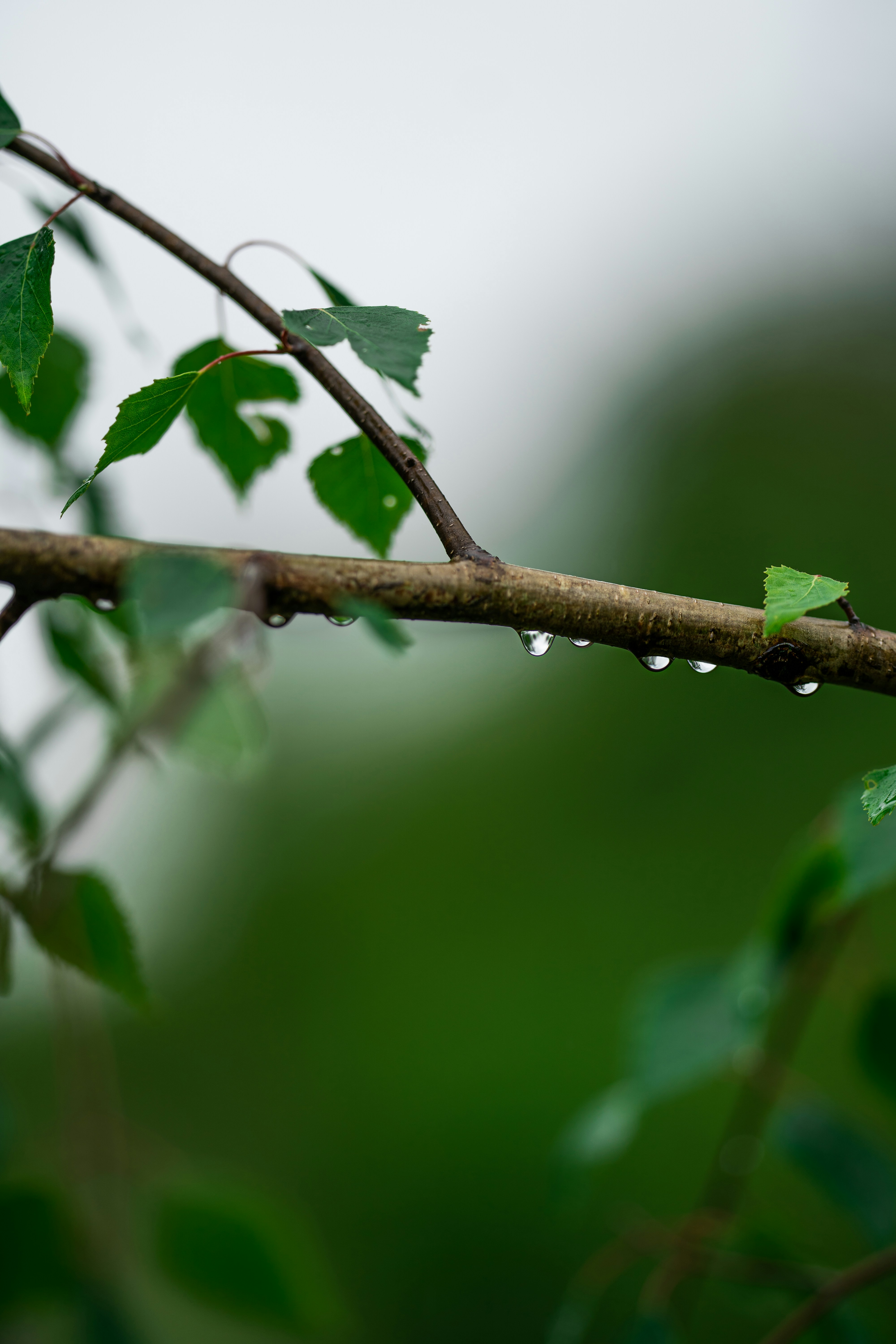 Photo by omarvellous14