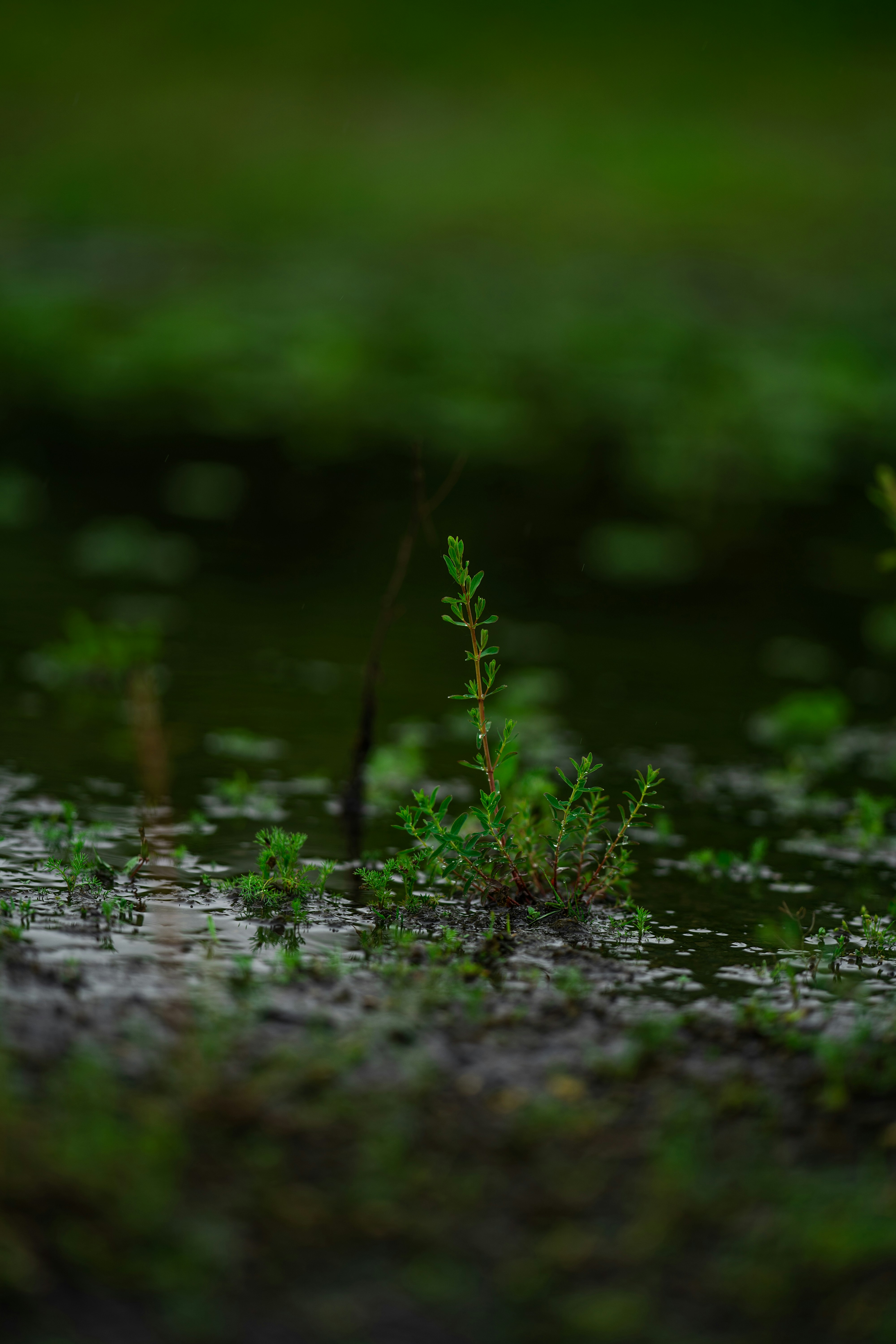 Photo by omarvellous14