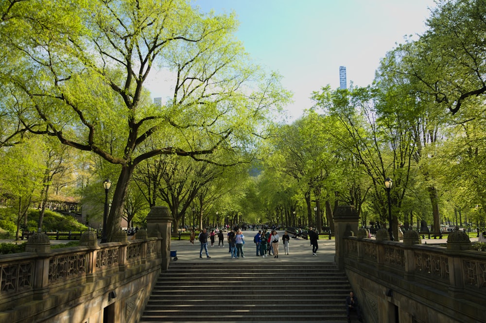 a group of people walking down a set of stairs