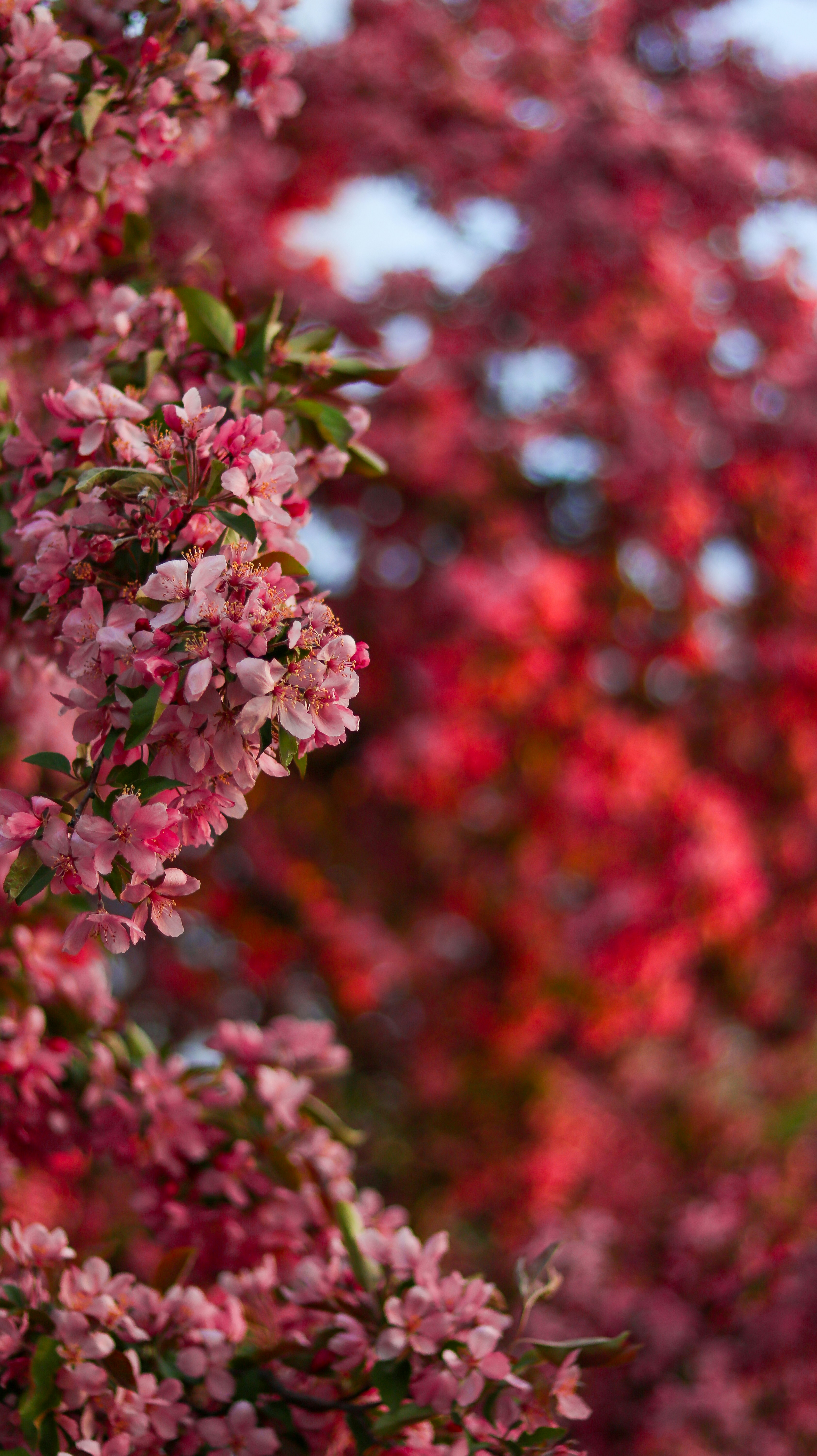 Photo by heberdavisphotography