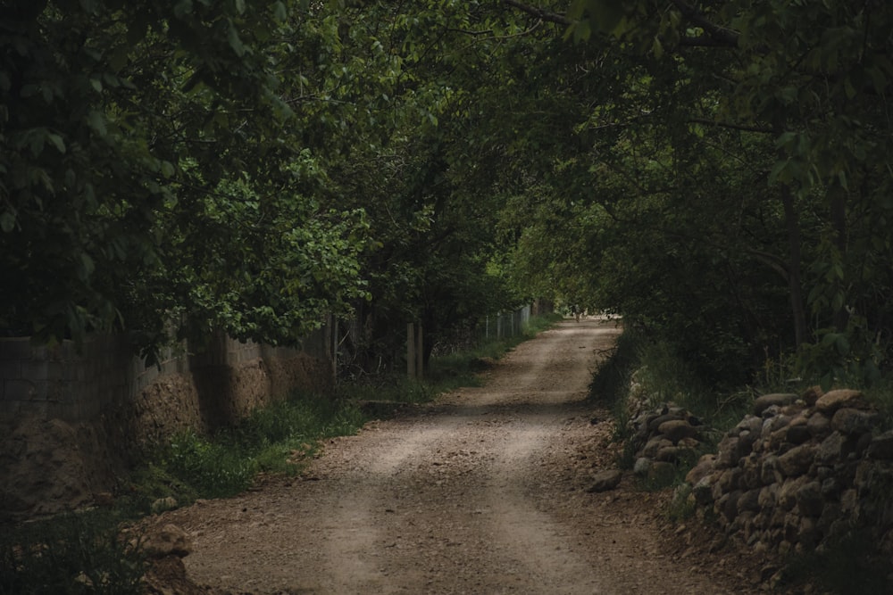 a dirt road surrounded by trees and rocks