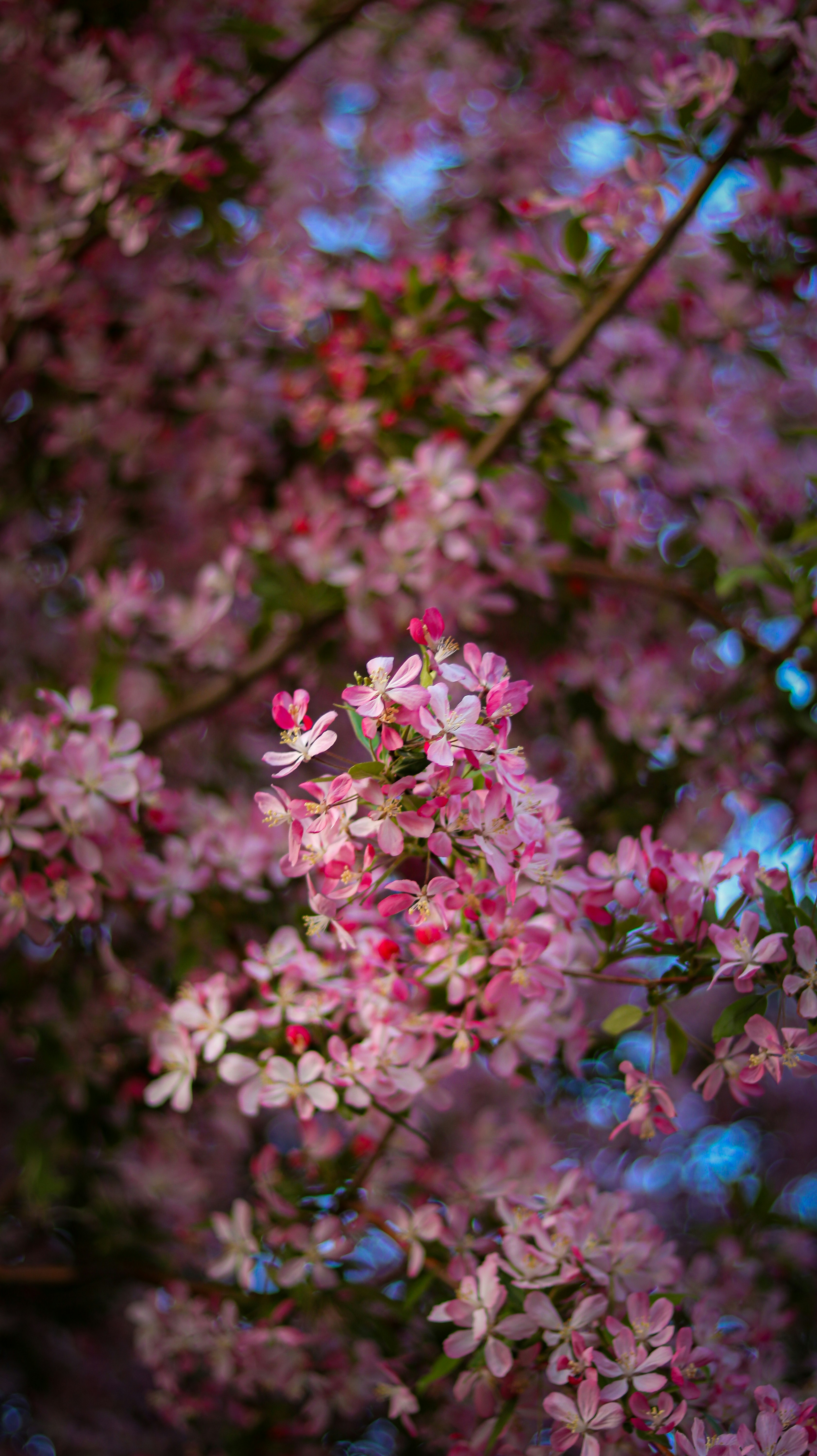 Photo by heberdavisphotography