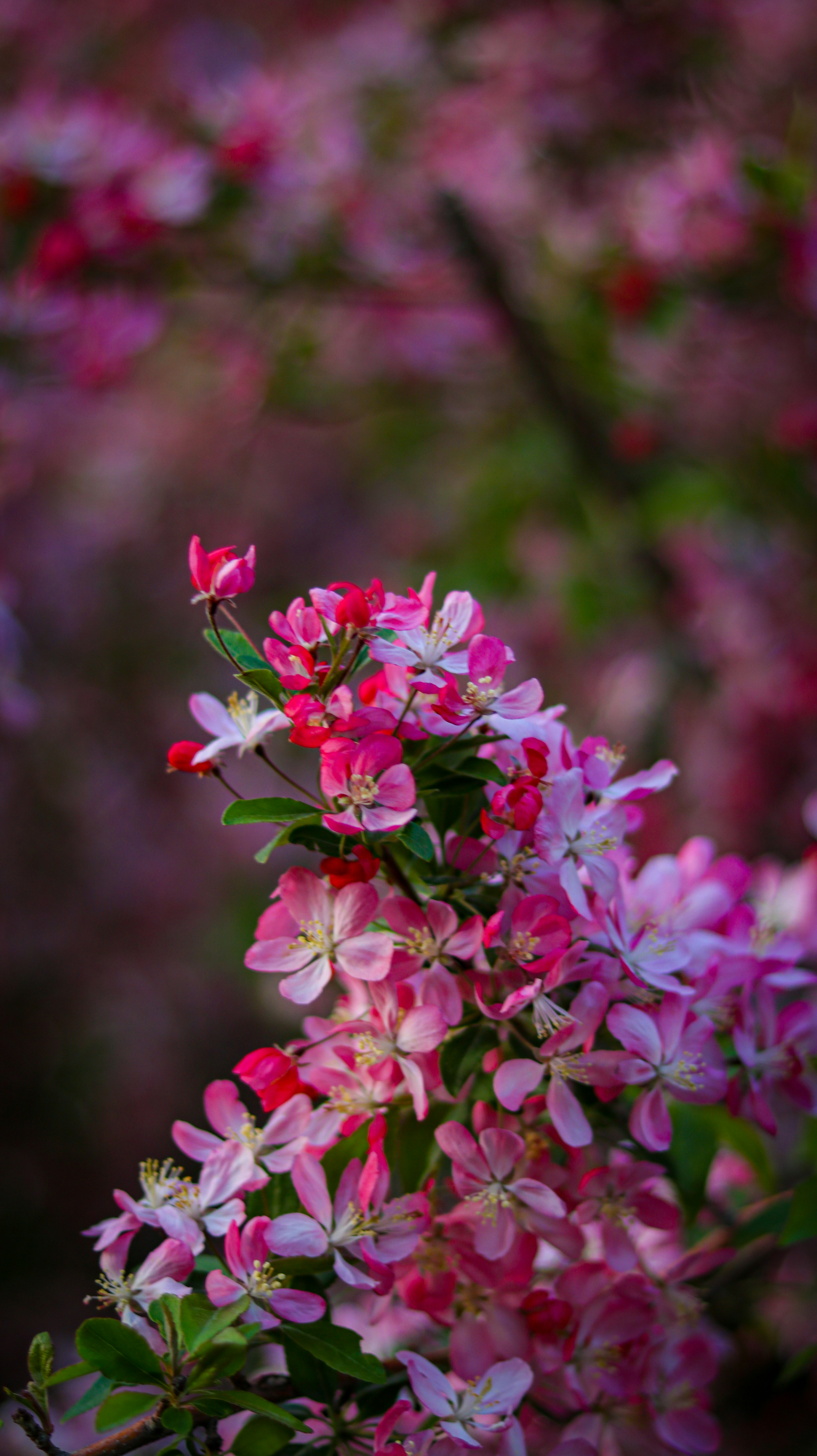 Photo by heberdavisphotography