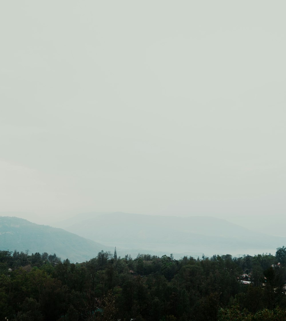 a plane flying over a forest with mountains in the background