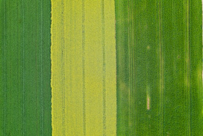 Aerial view of diverse crop zones showing different vigor levels.