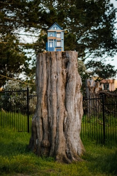 A miniature model of a two-story blue house is placed on top of a large tree stump in an outdoor setting. There are greenery and trees in the background, along with a black metal fence that runs parallel to the scene.