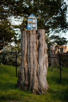 A miniature model of a two-story blue house is placed on top of a large tree stump in an outdoor setting. There are greenery and trees in the background, along with a black metal fence that runs parallel to the scene.