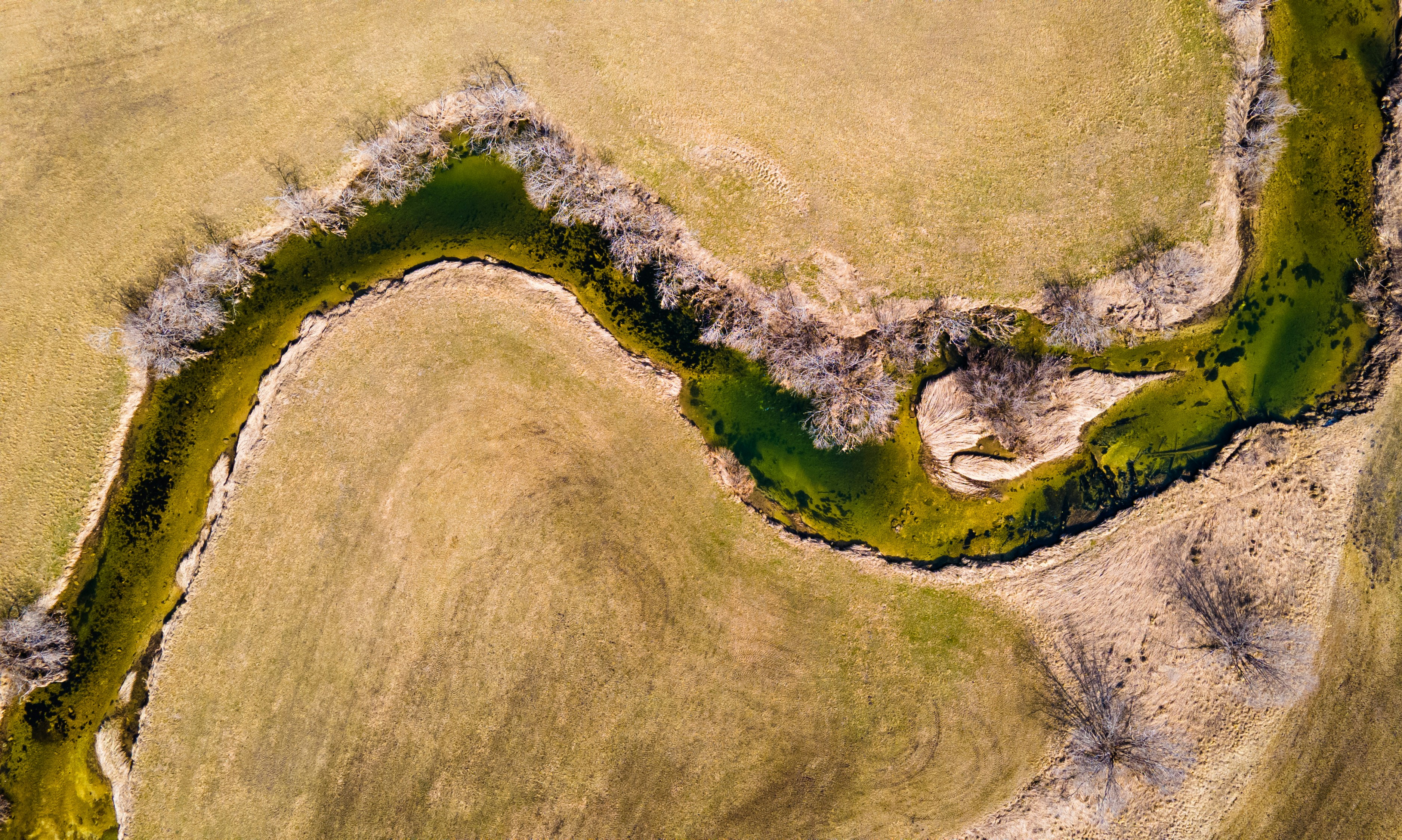 Photo by jlchassot65