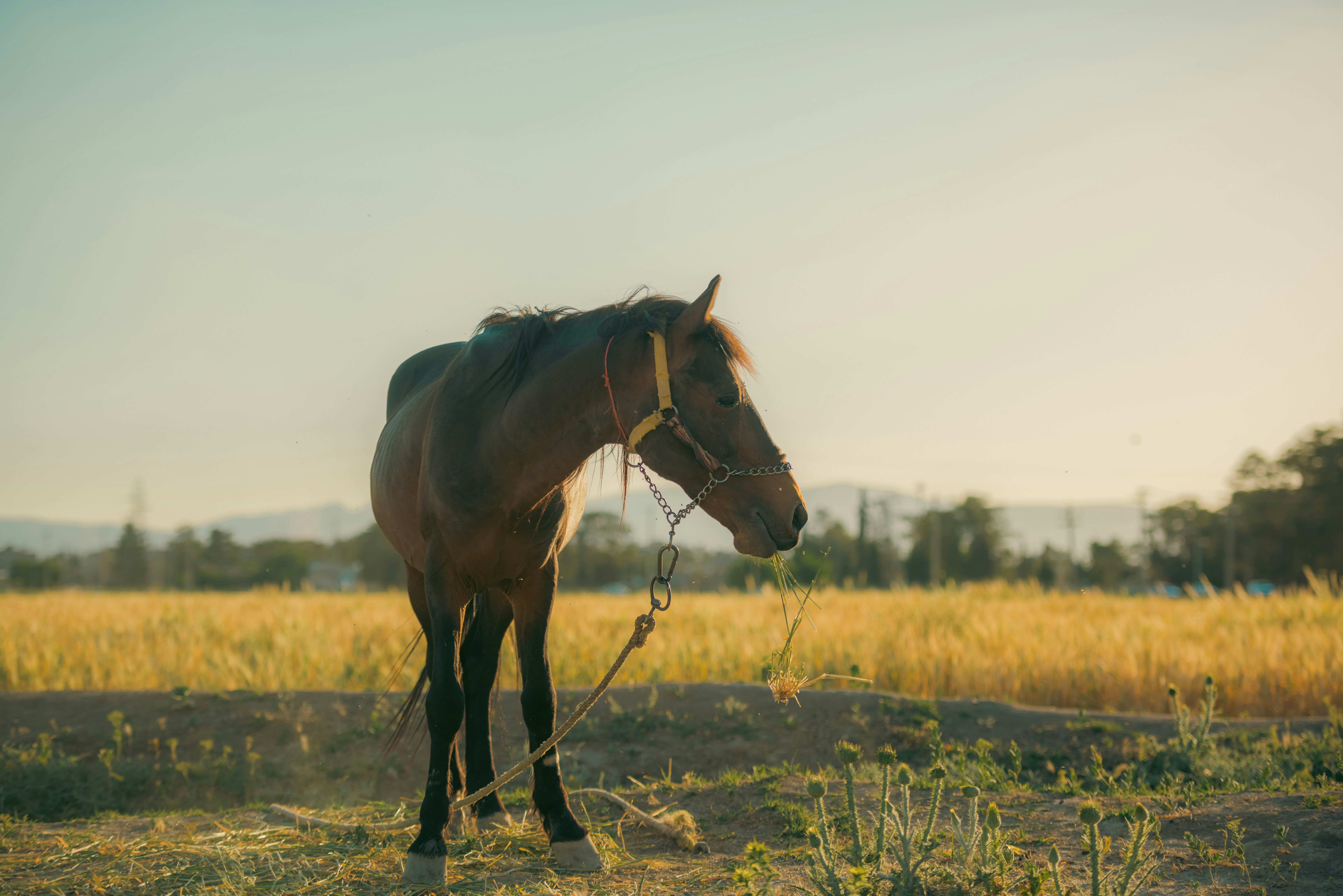 Photo by mk_cameraman