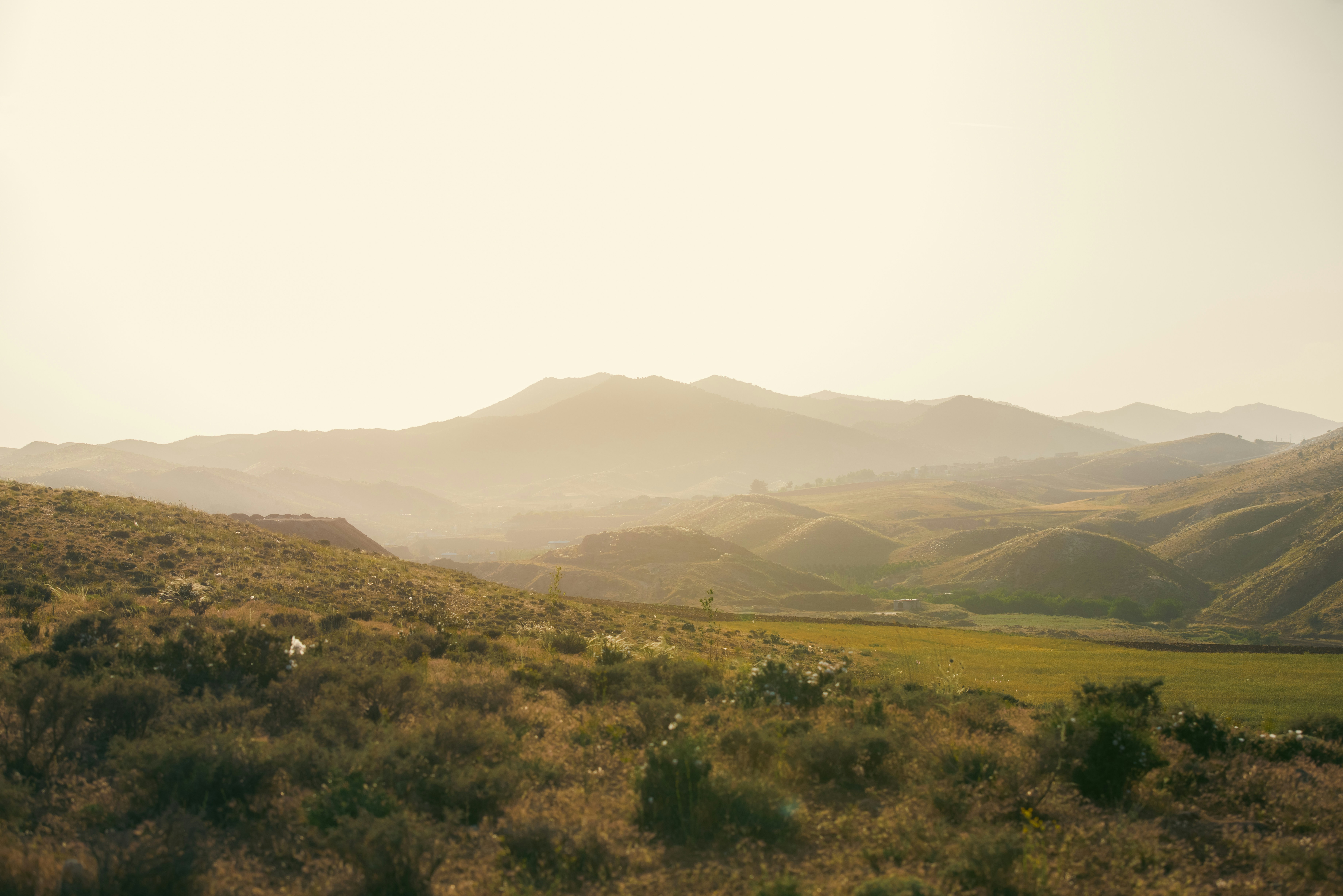 Photo by mk_cameraman