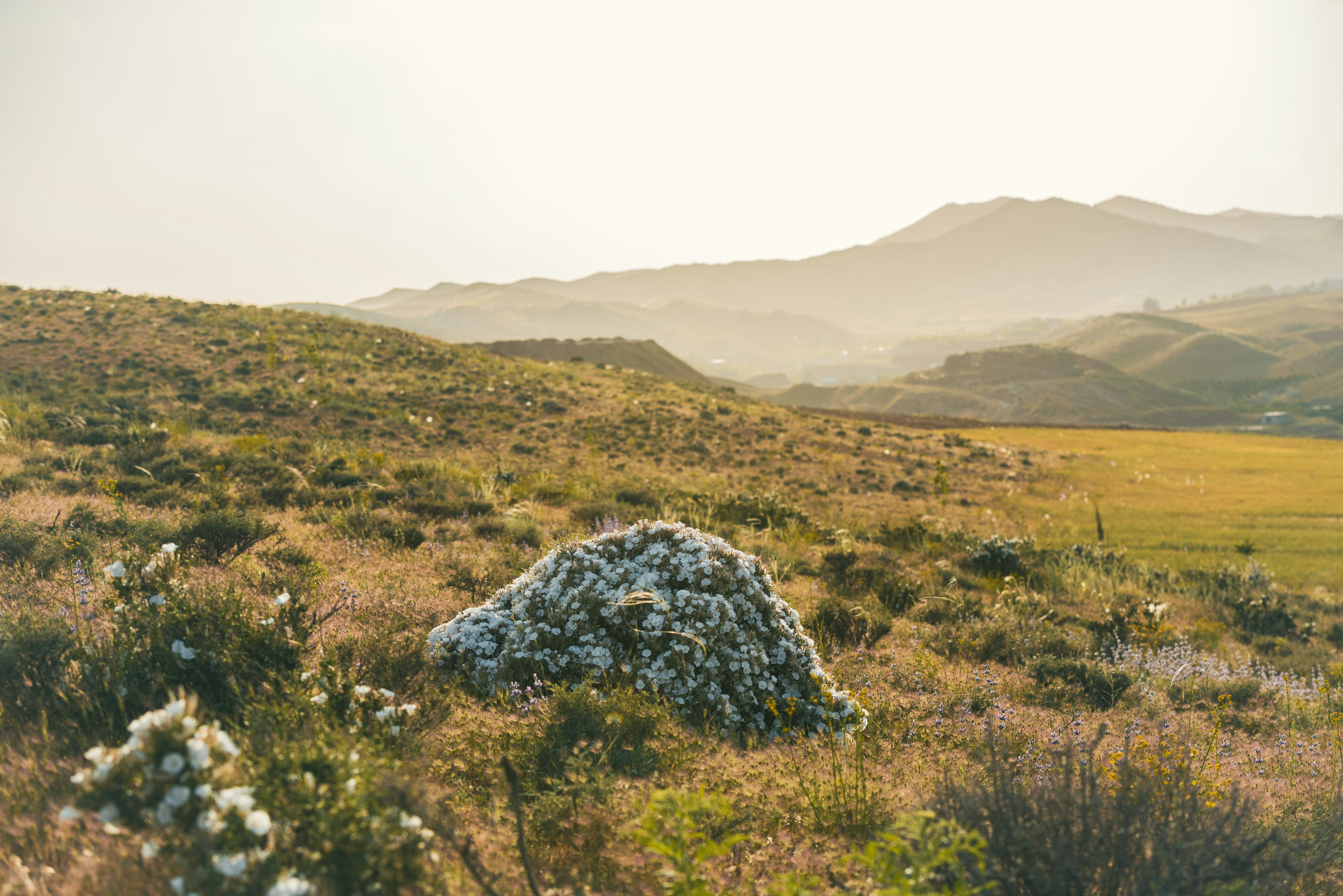 Photo by mk_cameraman